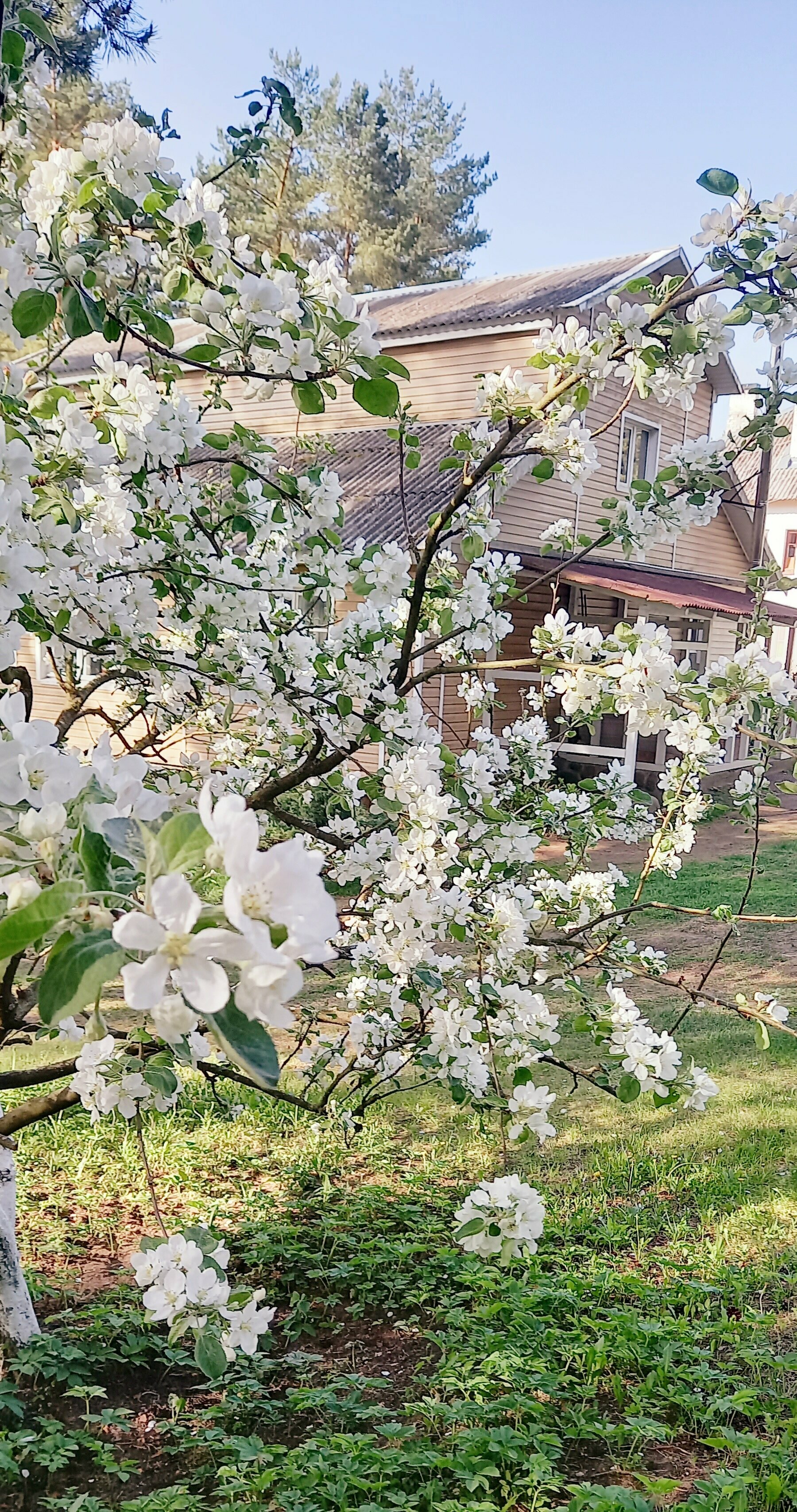 Дом для отпуска