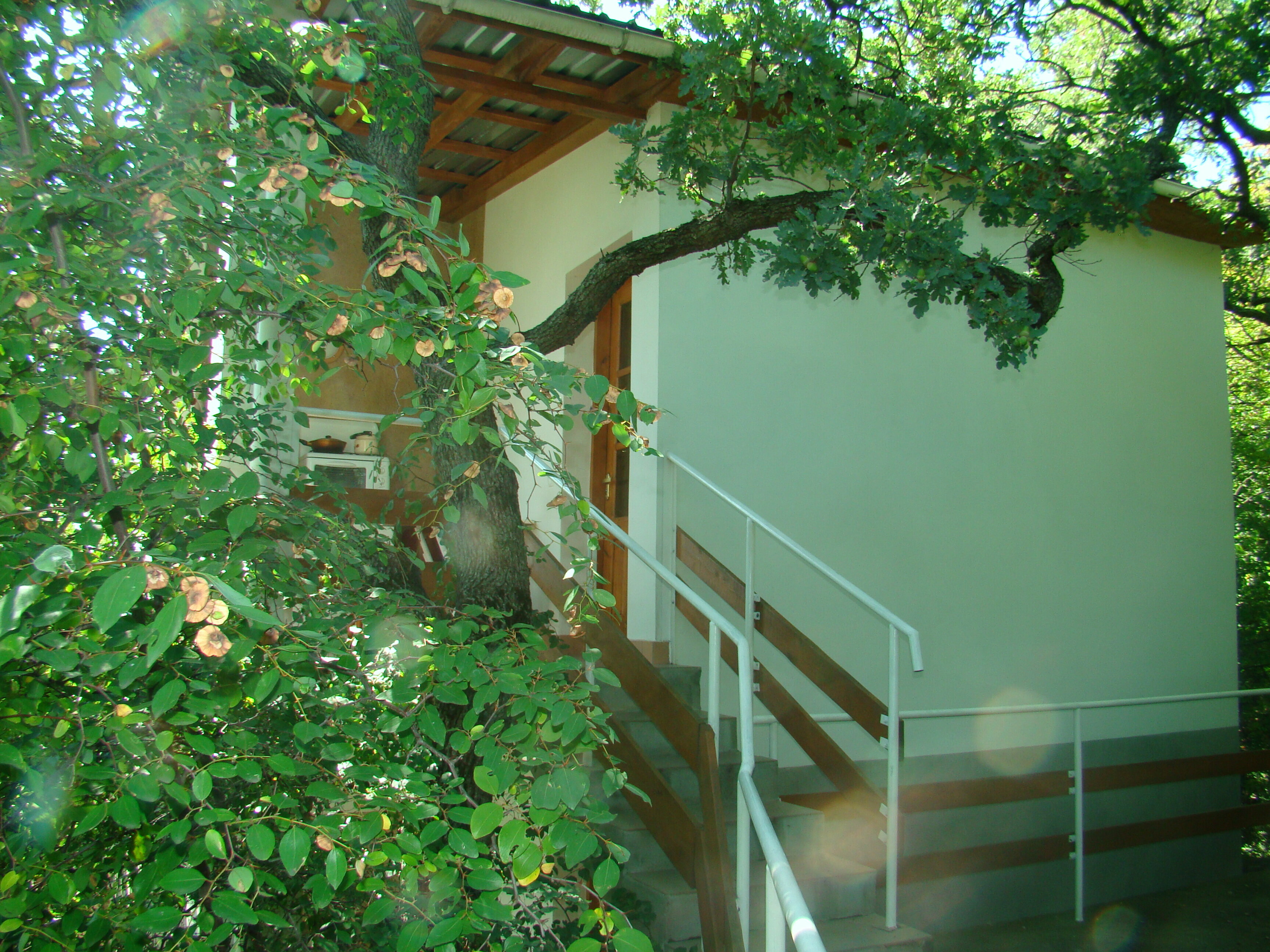 Трехместный номер «Комфорт» с душем