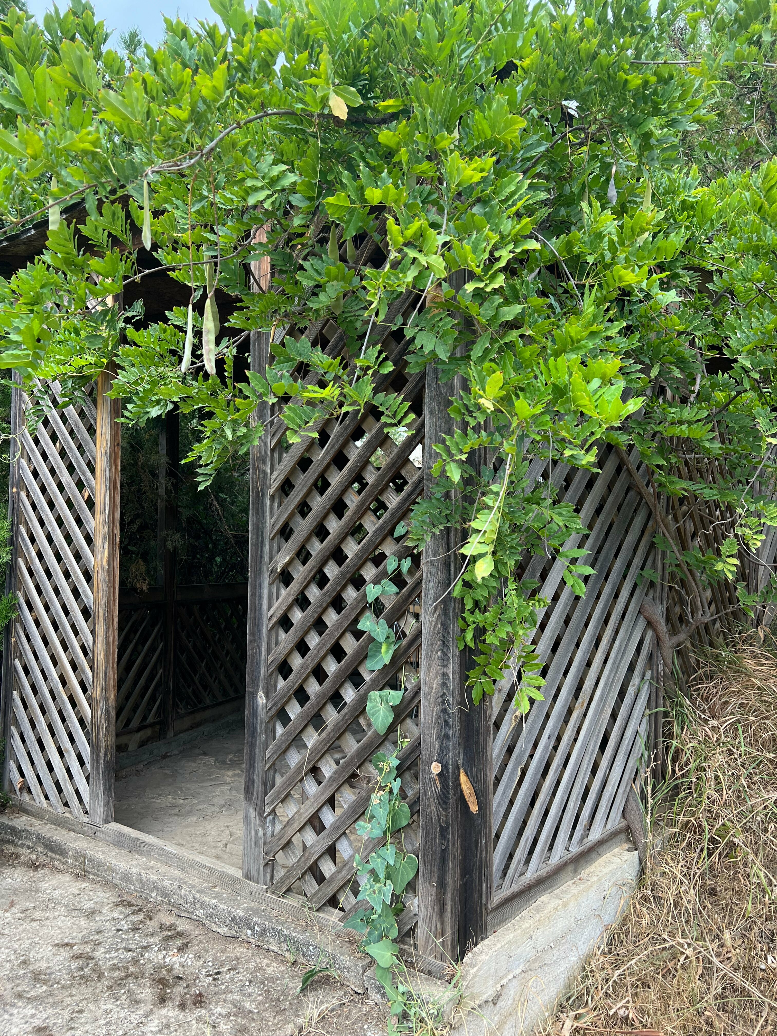 Семейный номер с боковым видом на море