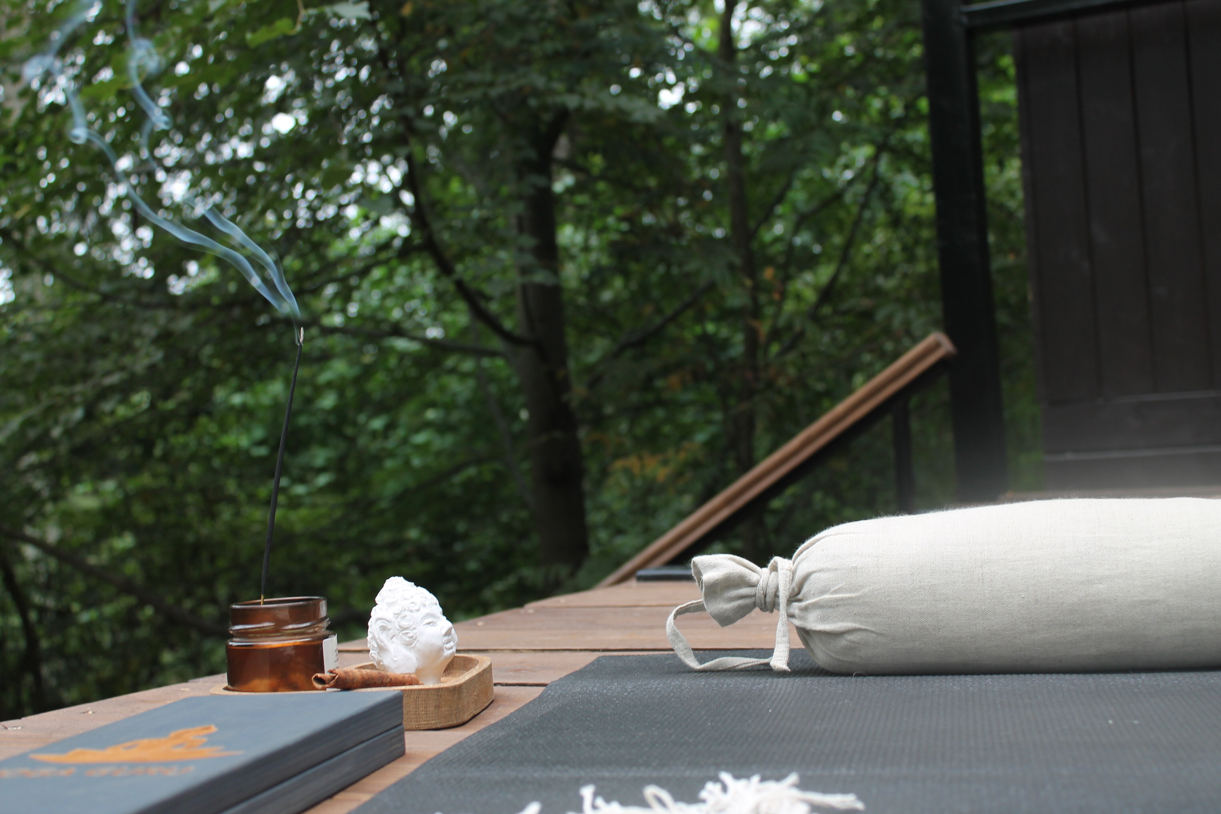 дом в лесу с ванной у панорамных окон