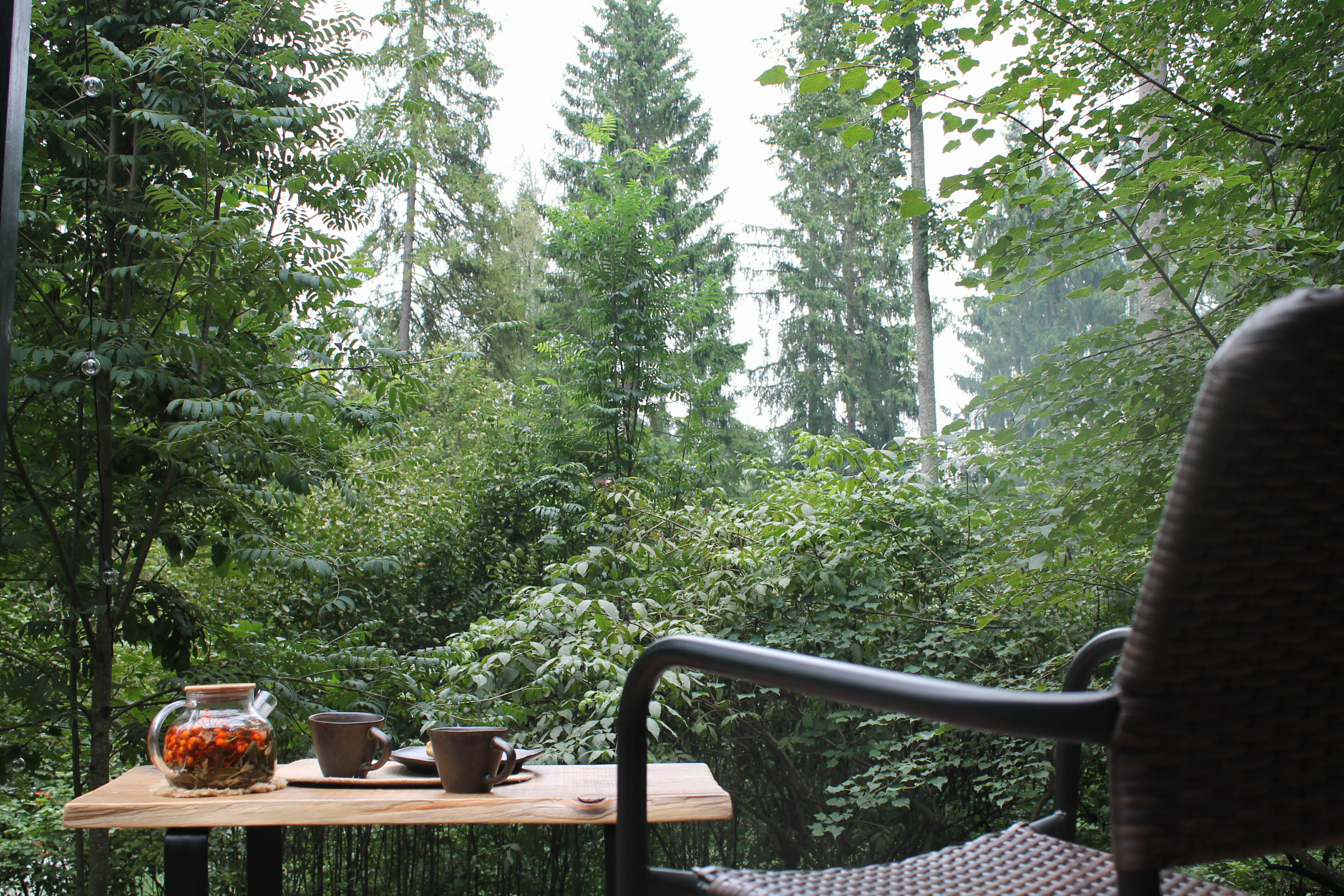 дом в лесу с ванной у панорамных окон