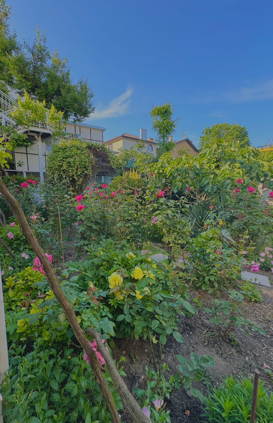 Четырехместный номер эконом-класса с общей ванной комнатой