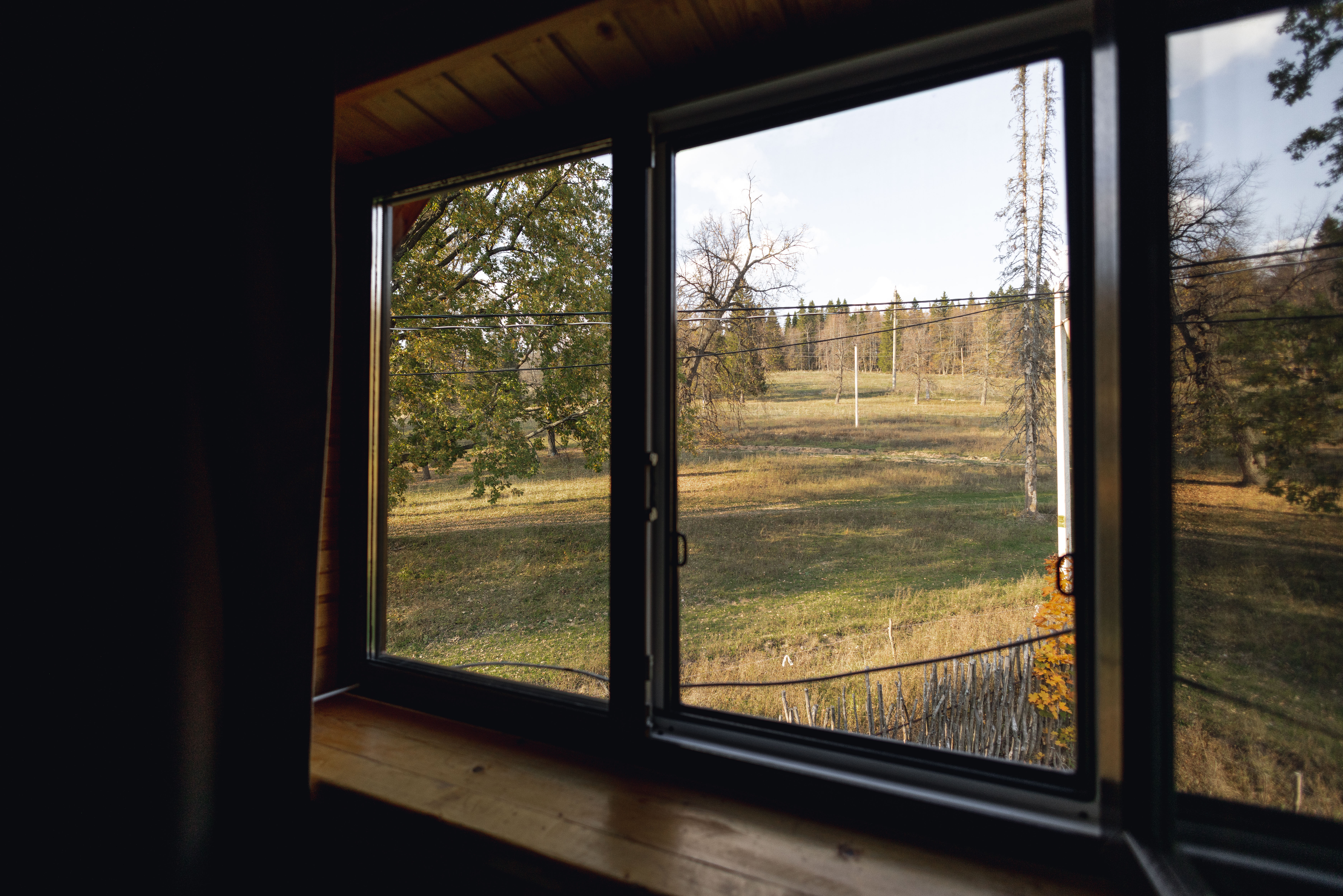 Дом с видом на лес