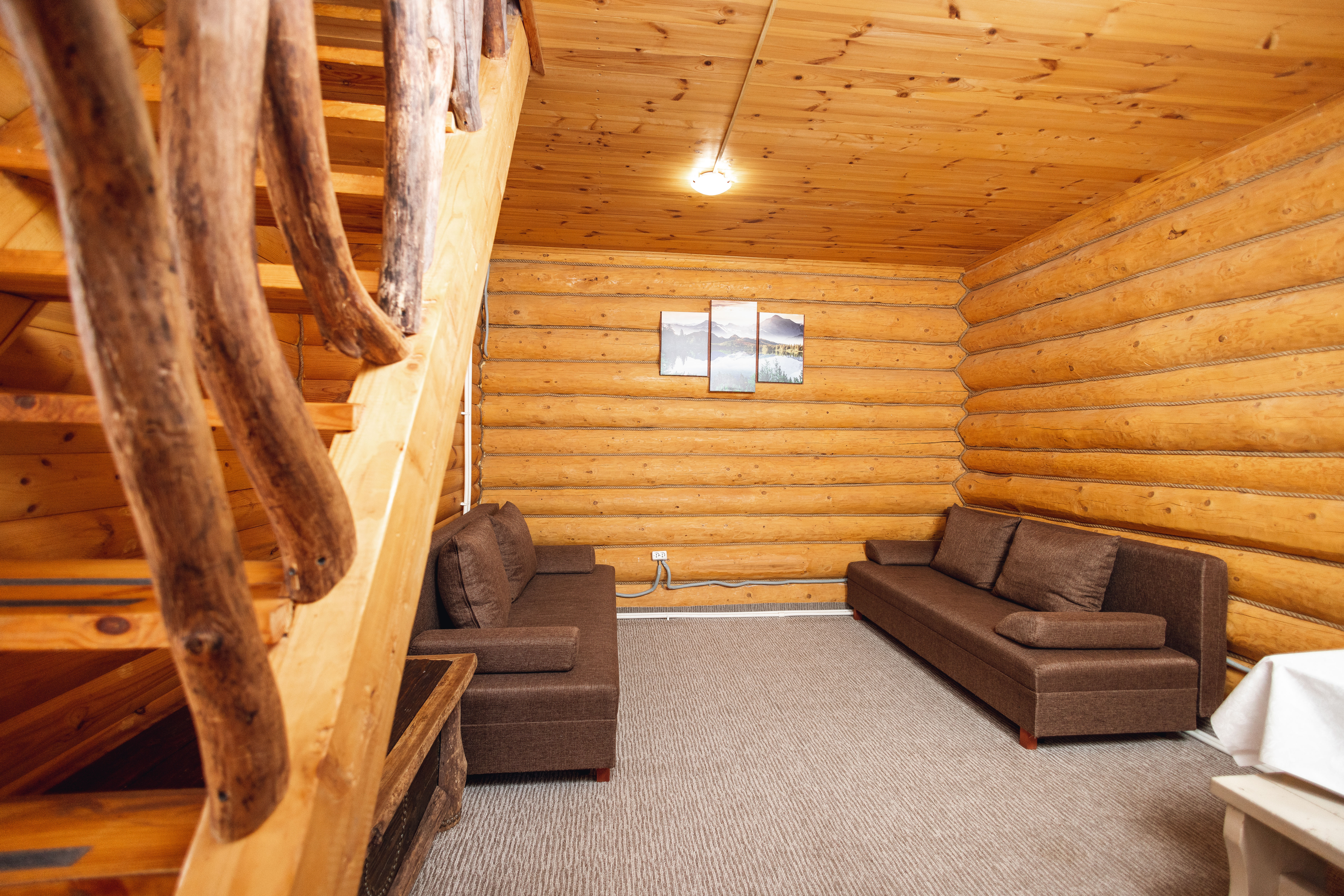 Дом с видом на лес