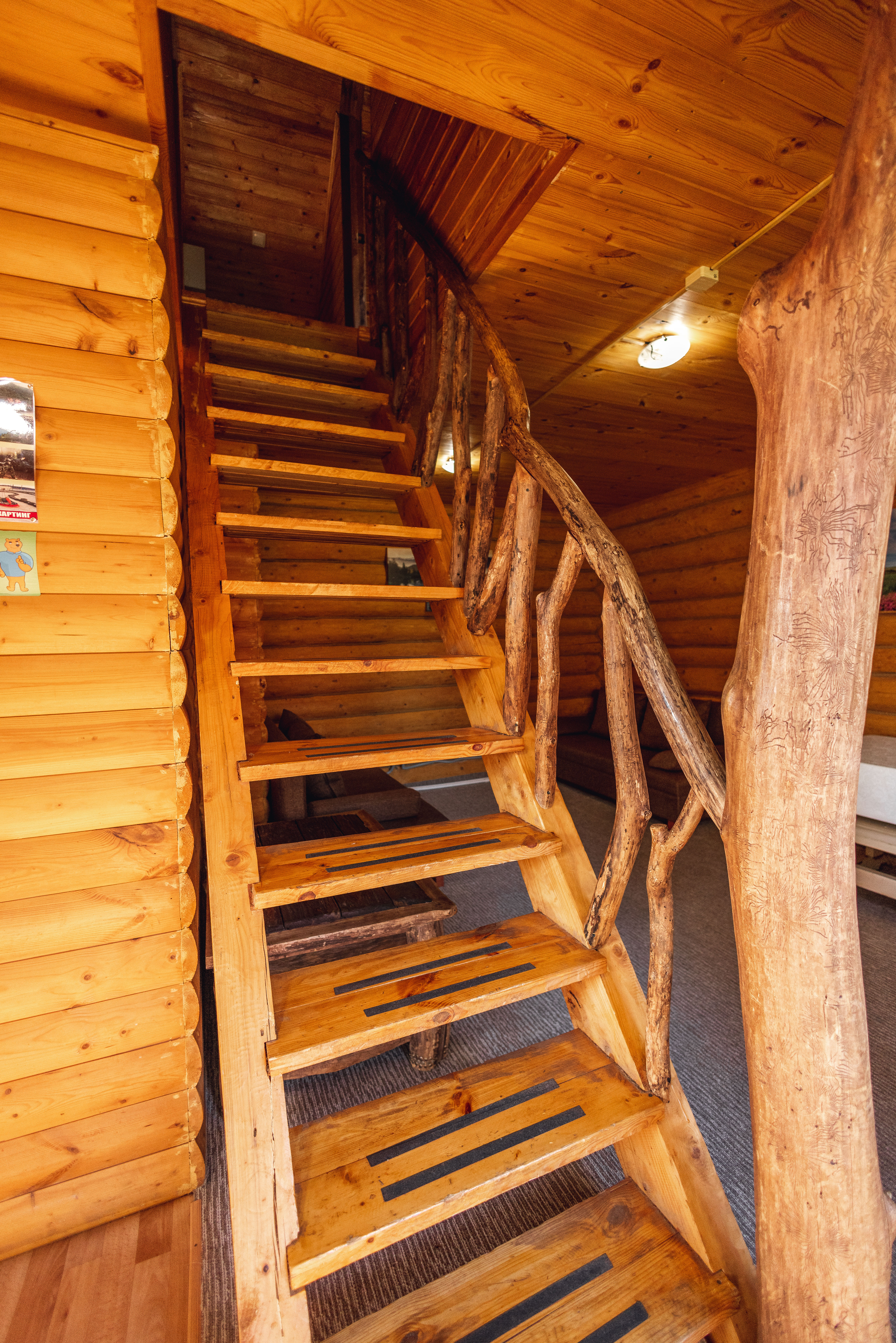 Дом с видом на лес