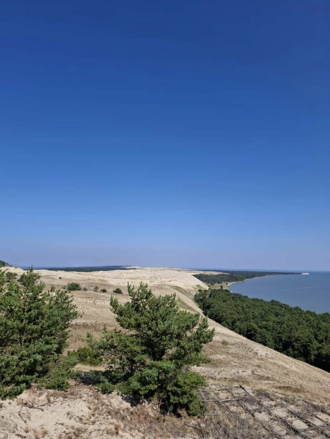 Апартаменты Делюкс