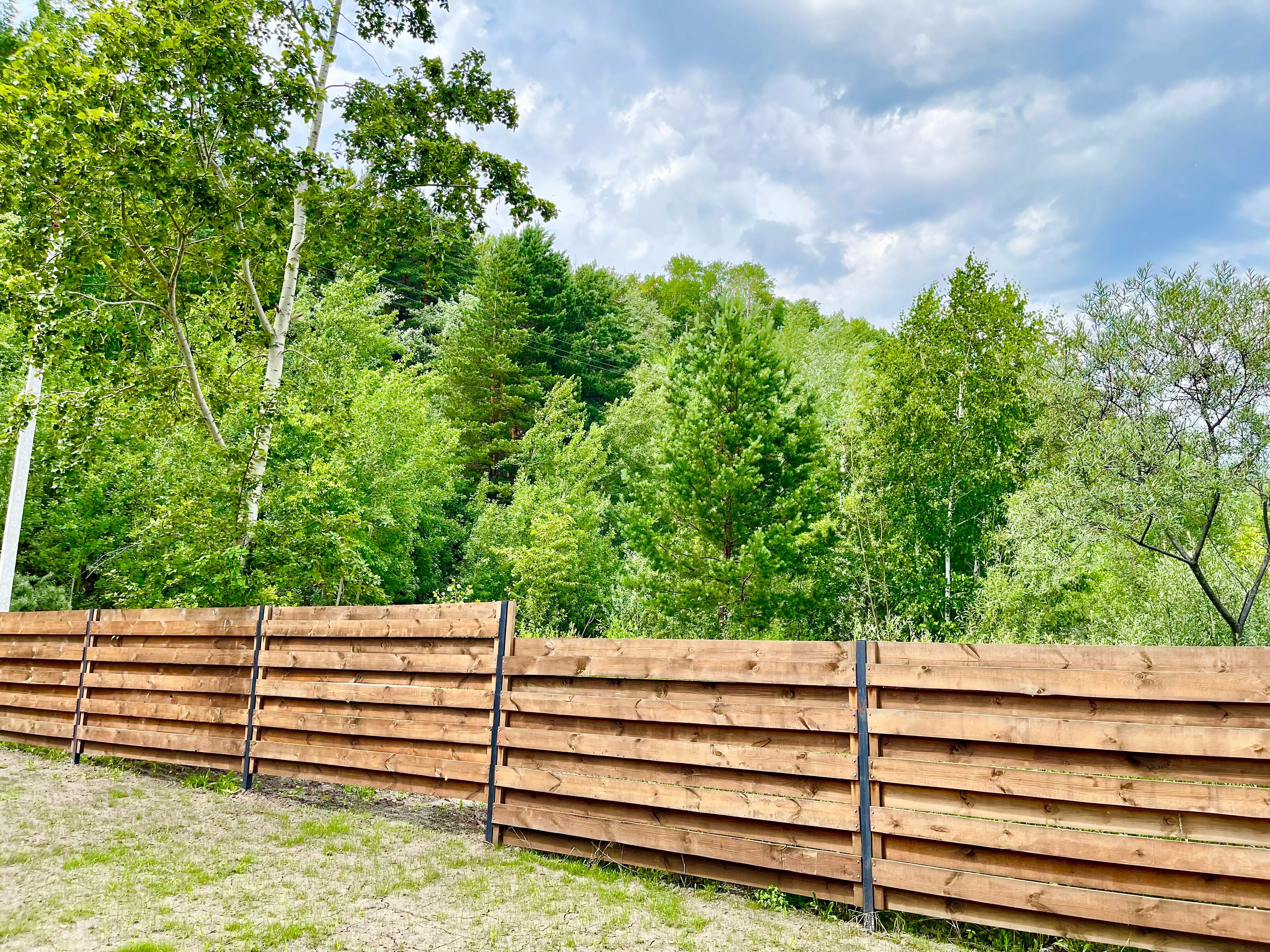 Коттедж с видом на лес