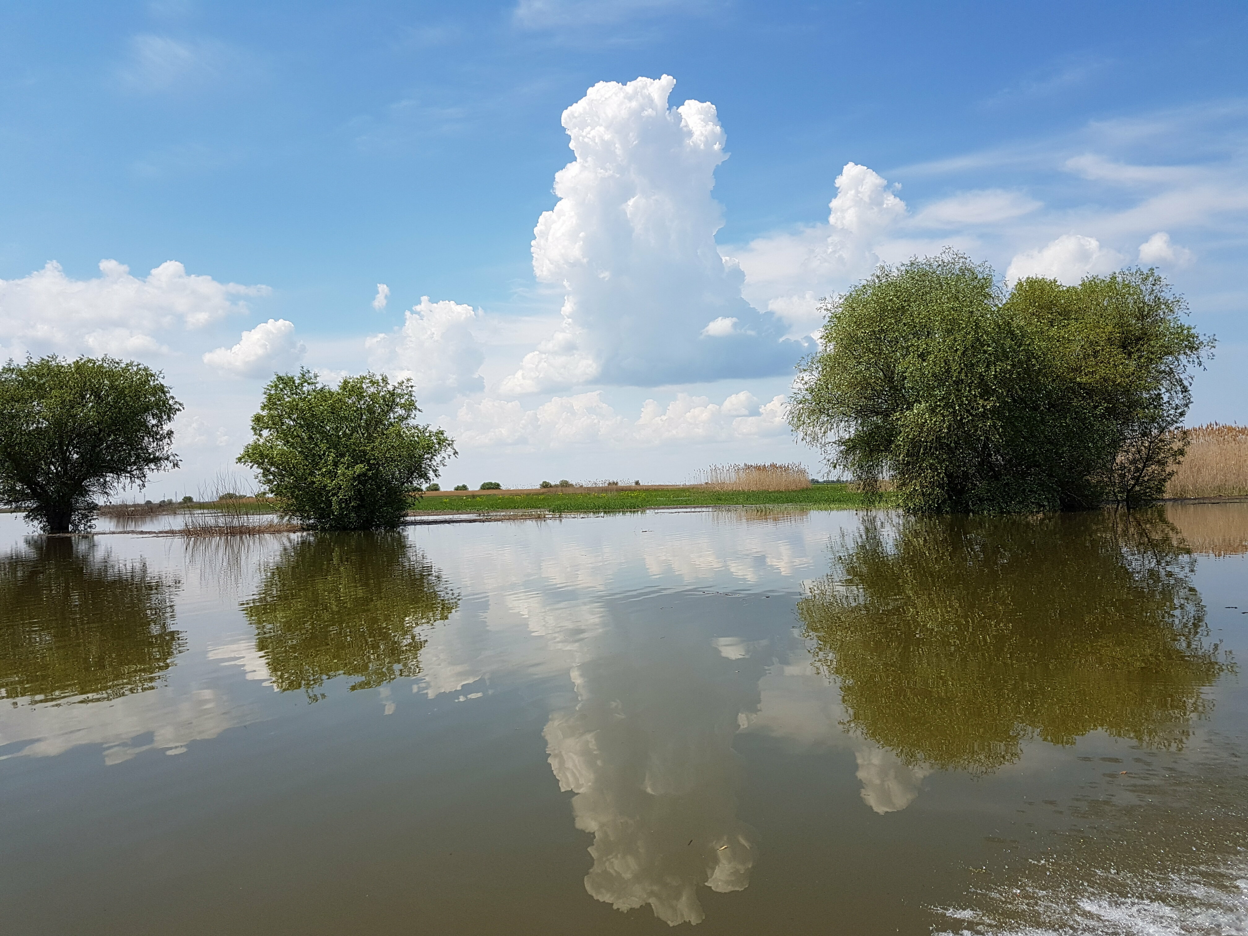 Дом с 2 спальнями