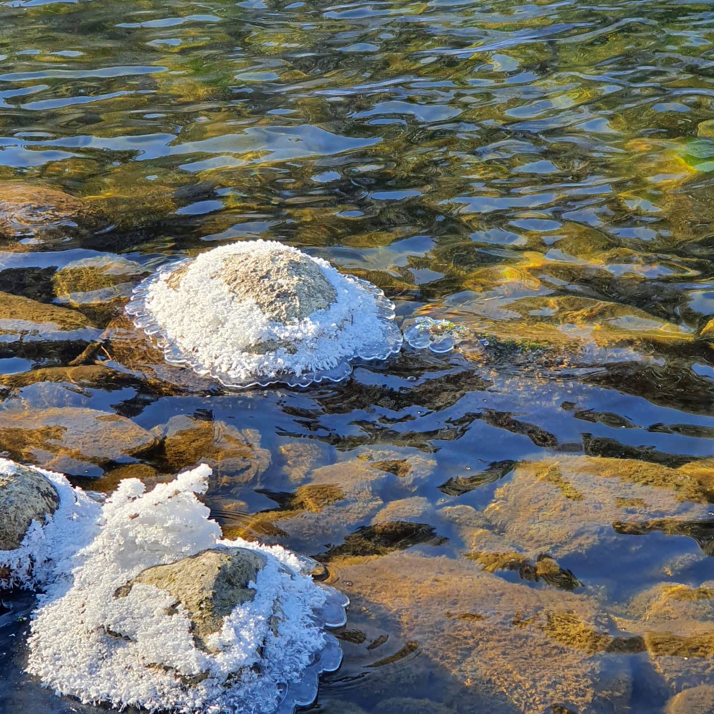 Трехместный номер «Комфорт» с душем