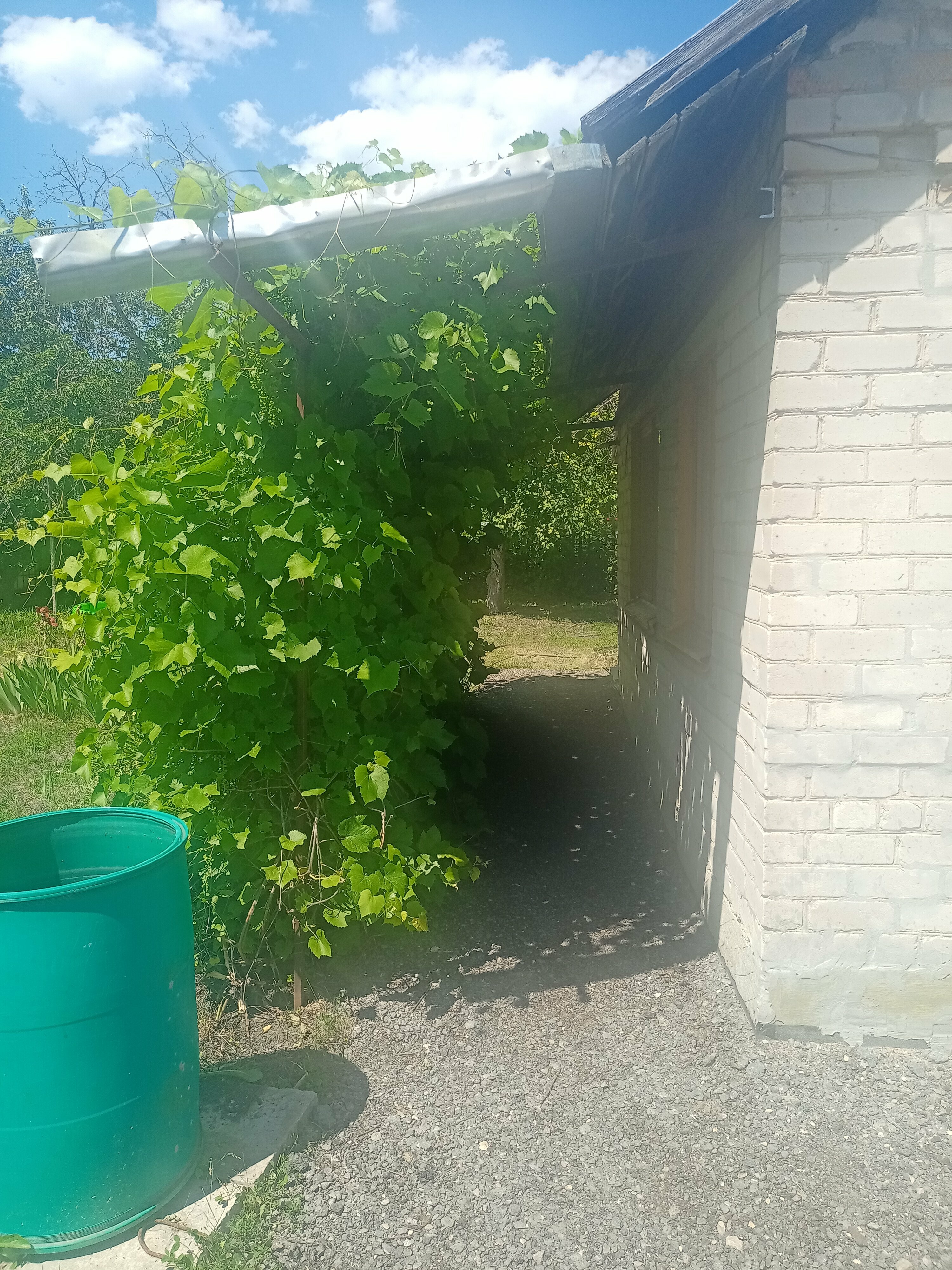 Семейный номер