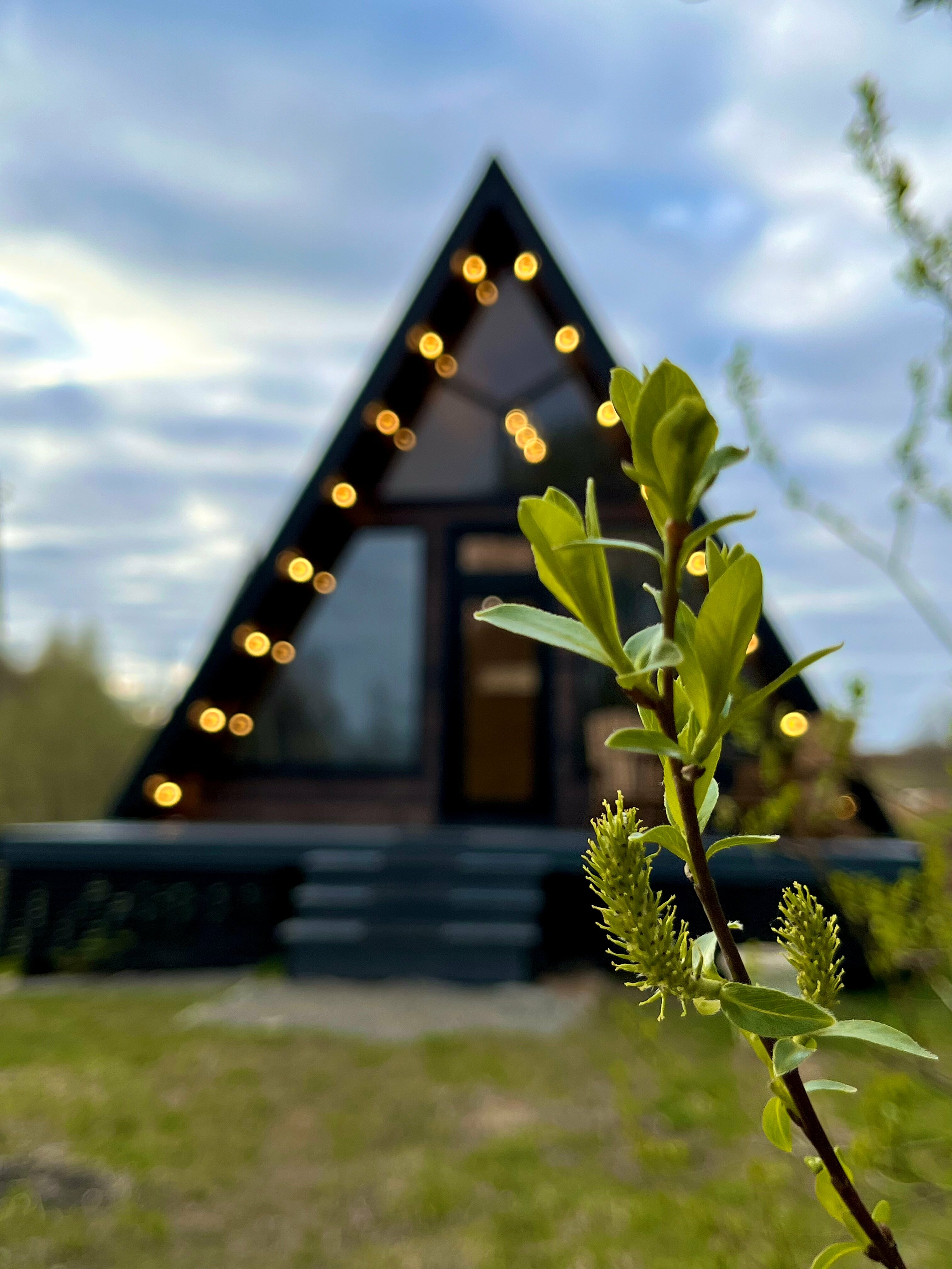 Номер с 2 кроватями размера «king-size»