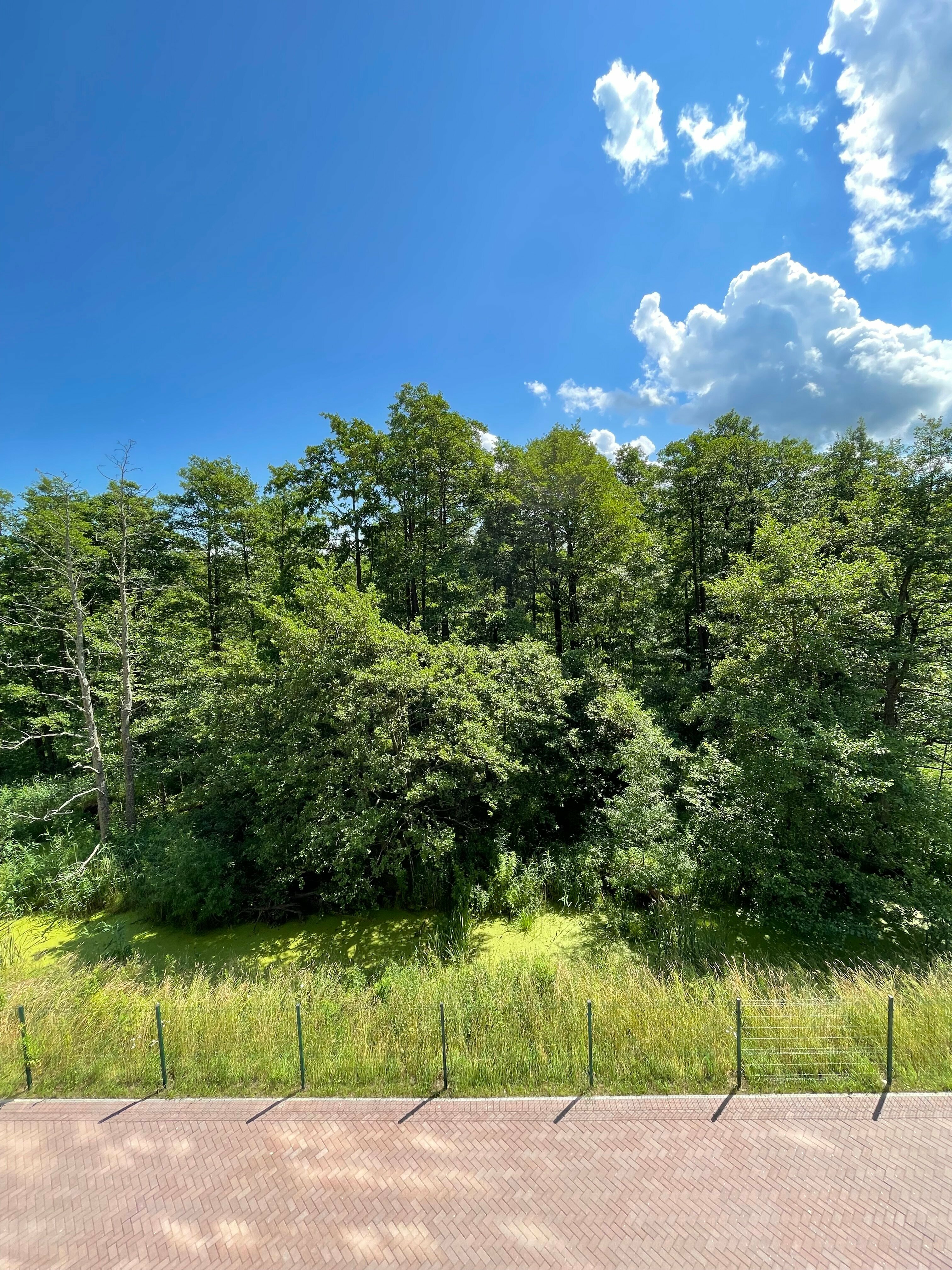 Апартаменты с 2 спальнями