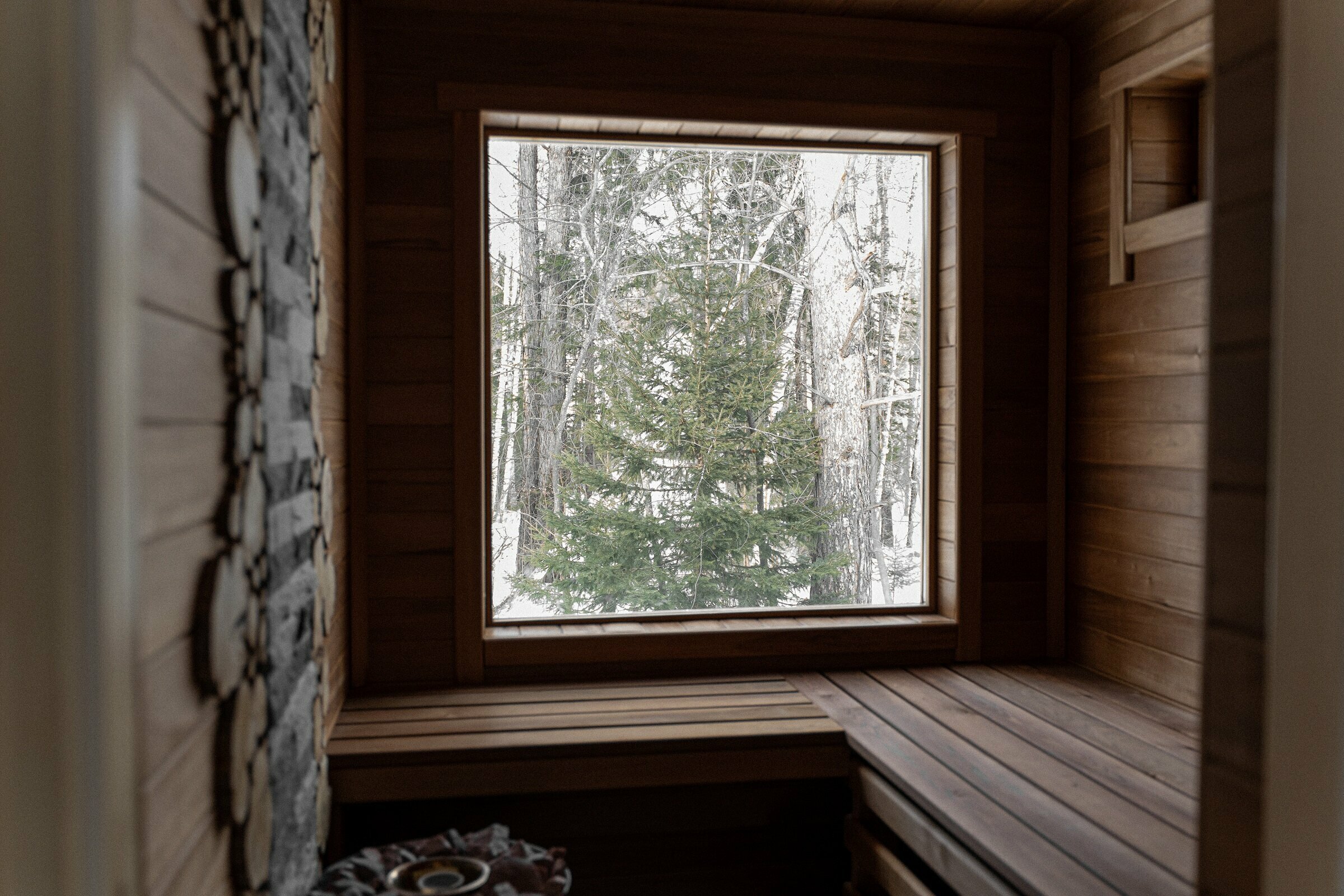 Дом с видом на лес