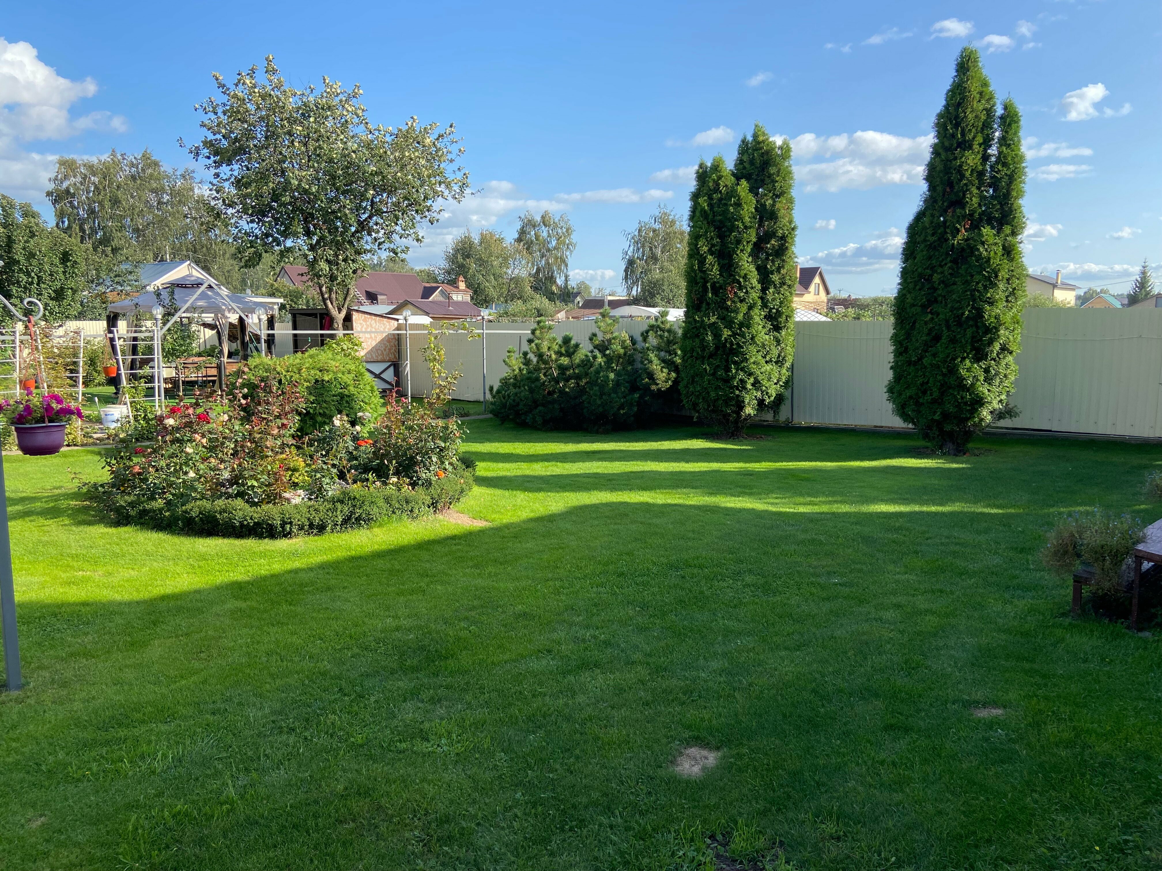 Коттедж с видом на лес