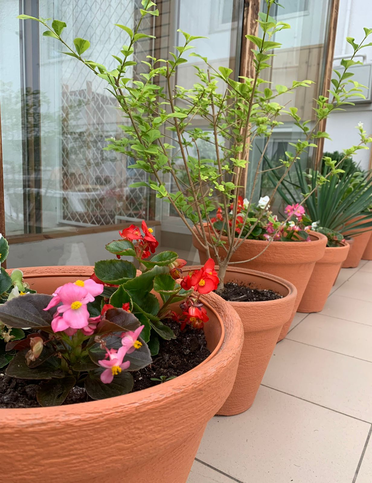 Трехместный номер "Эконом +" ( без вида из окна)