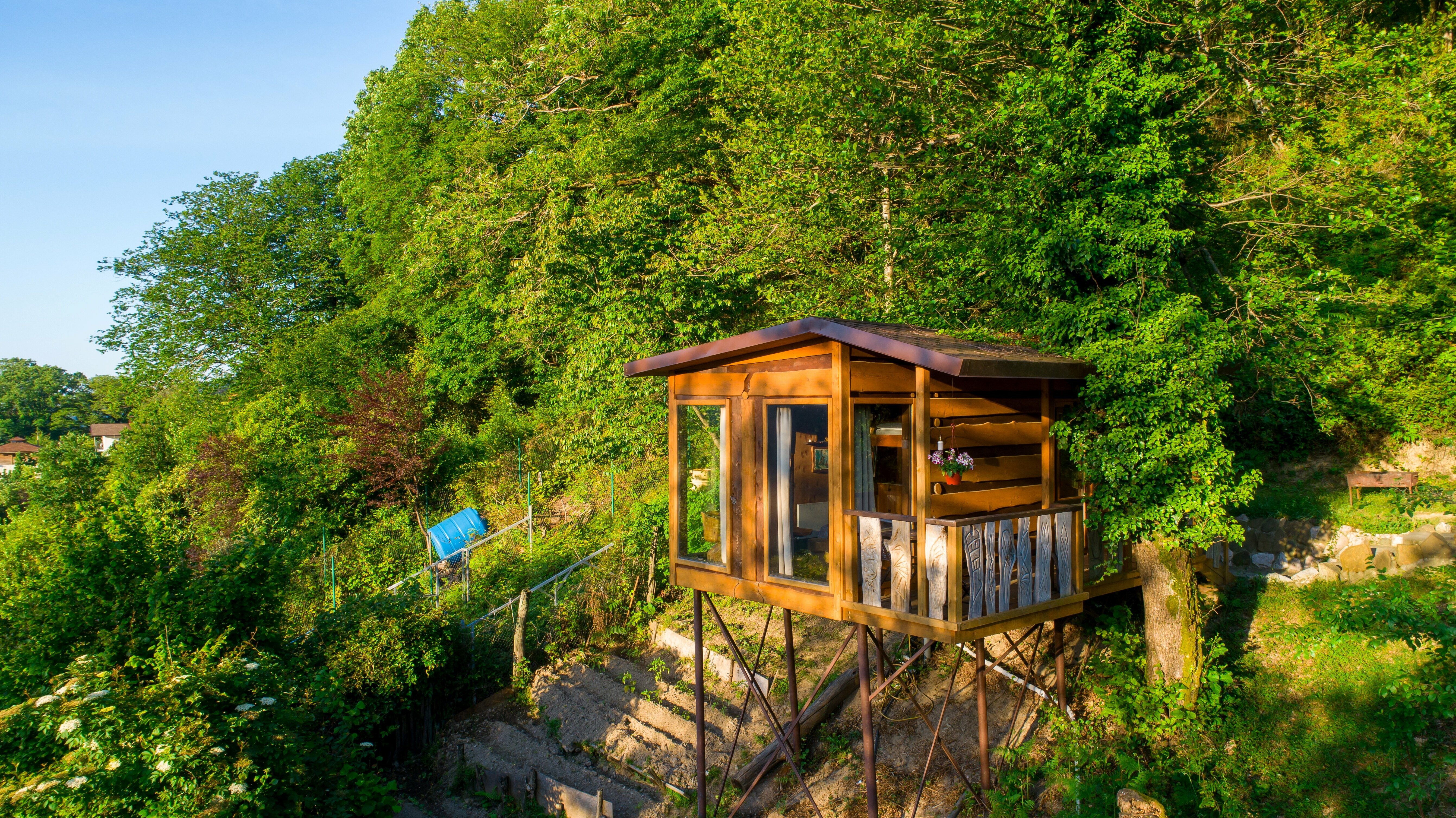 Коттедж с видом на лес