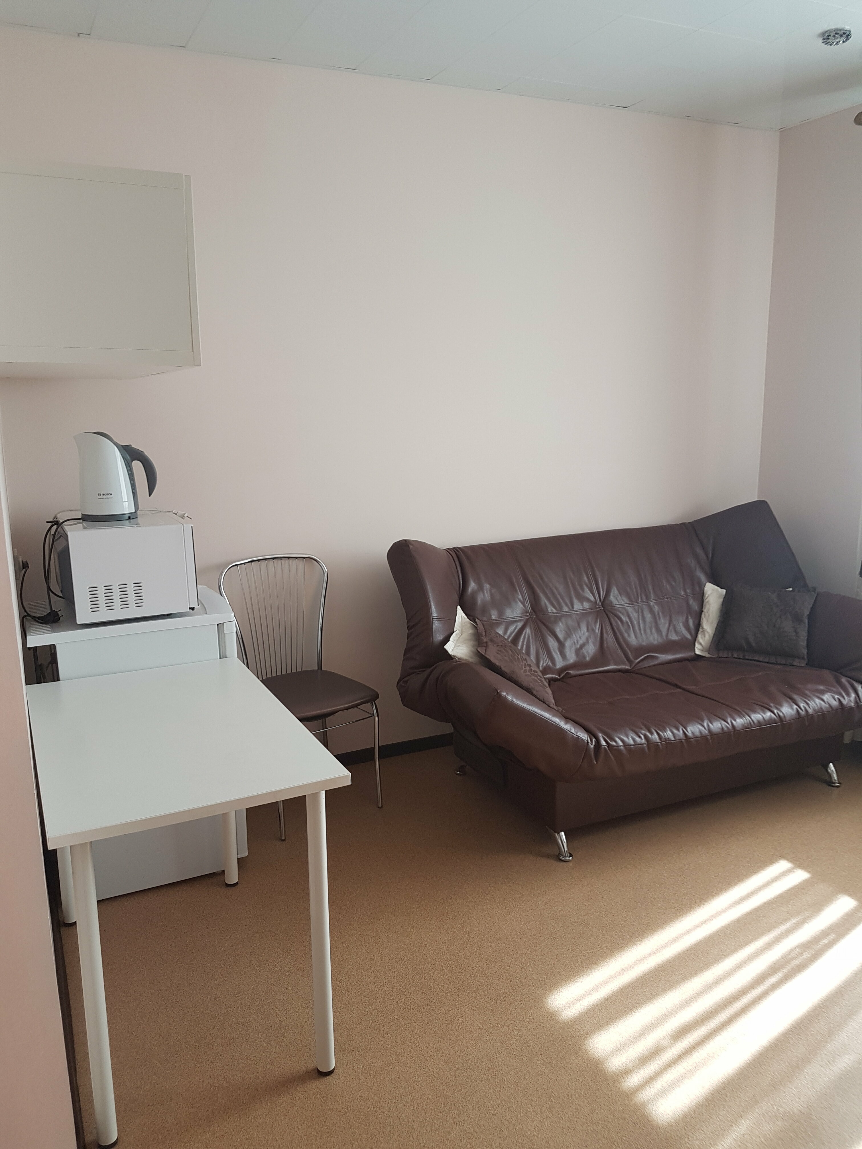 Номер-студия с диваном-кроватью