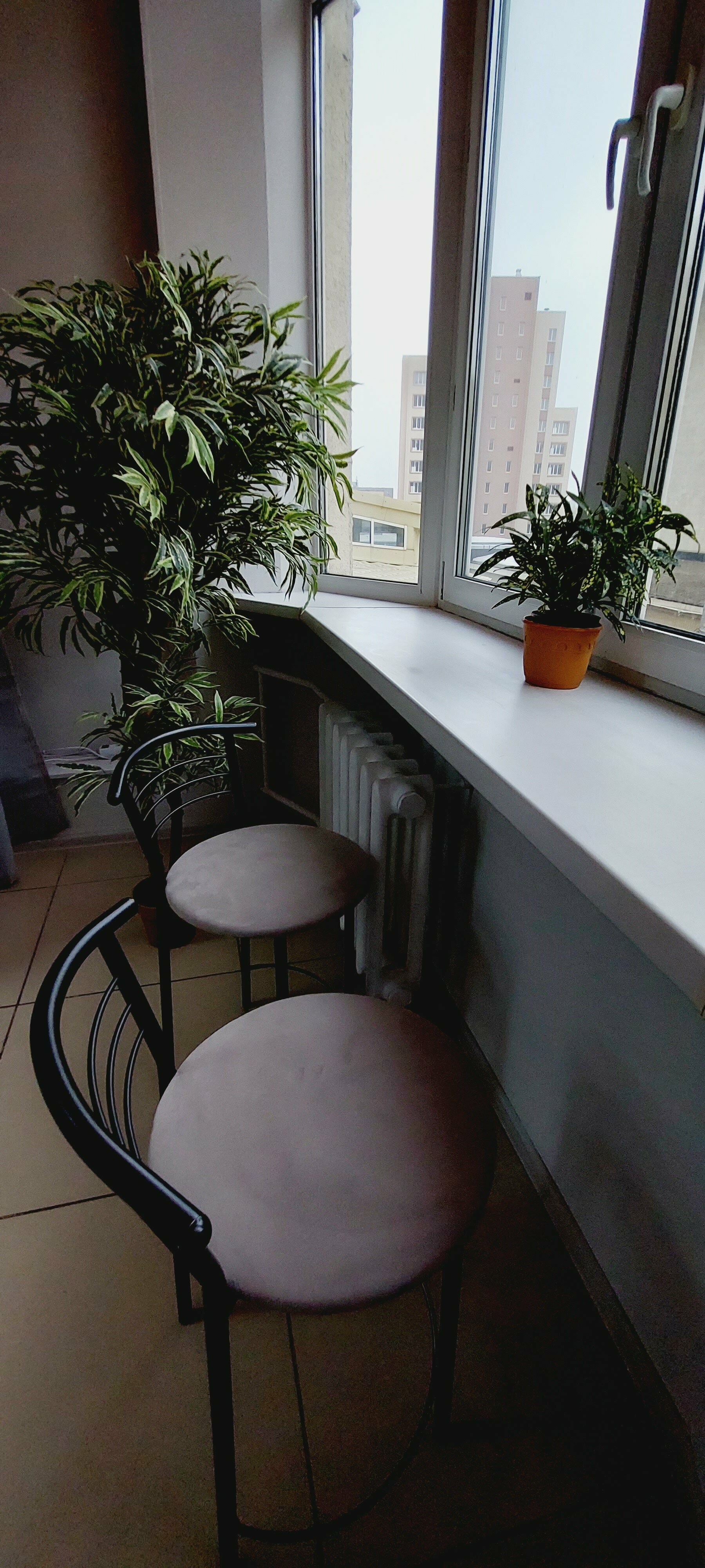 Спальное место на двухъярусной кровати в общем номере для мужчин и женщин