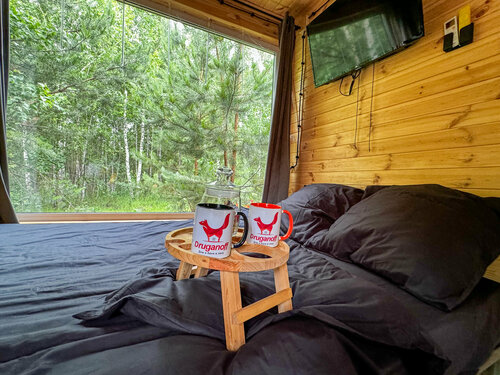 Двухместный номер с 1 кроватью и собственной ванной комнатой в ДруганоФФ