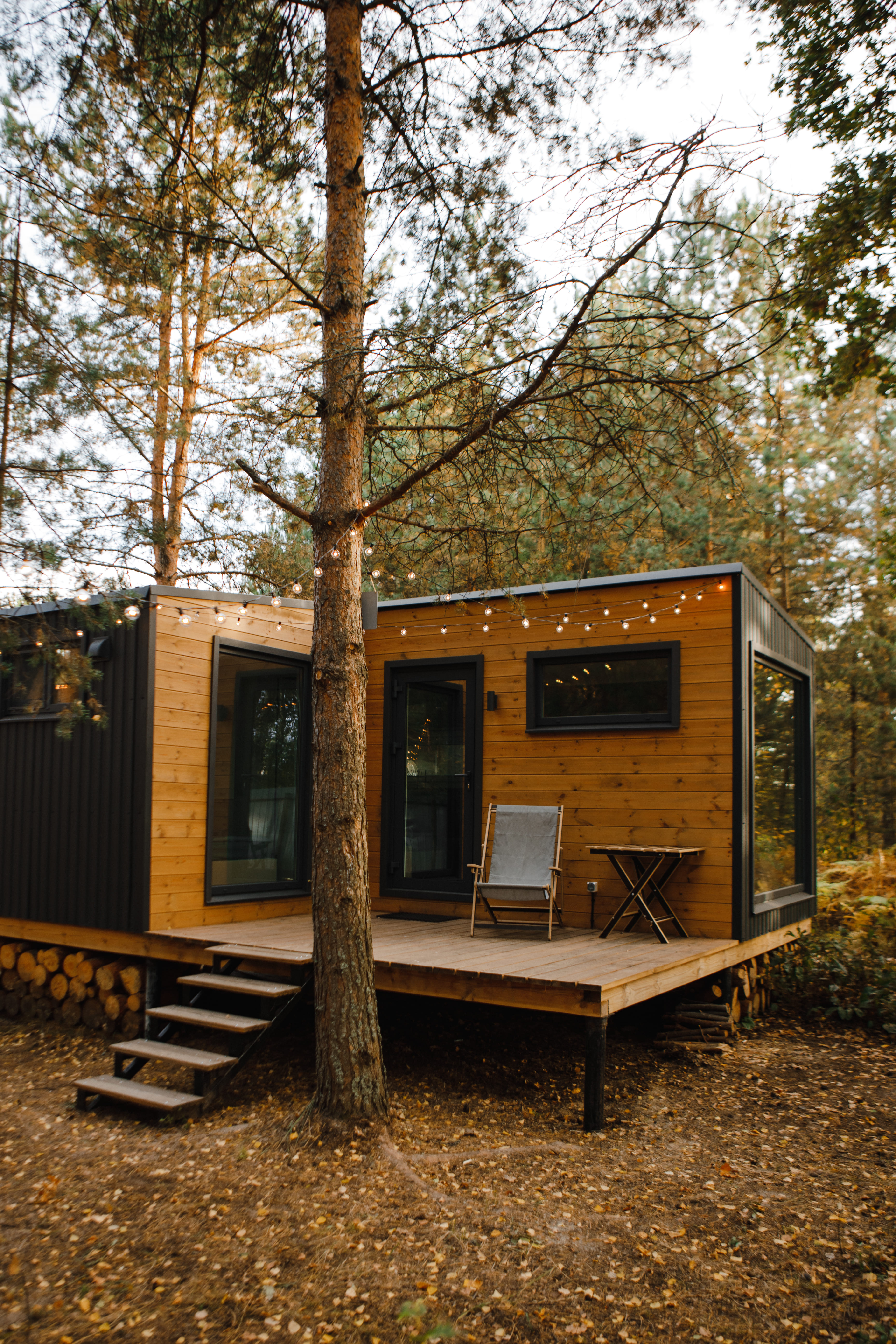 Дом с видом на лес