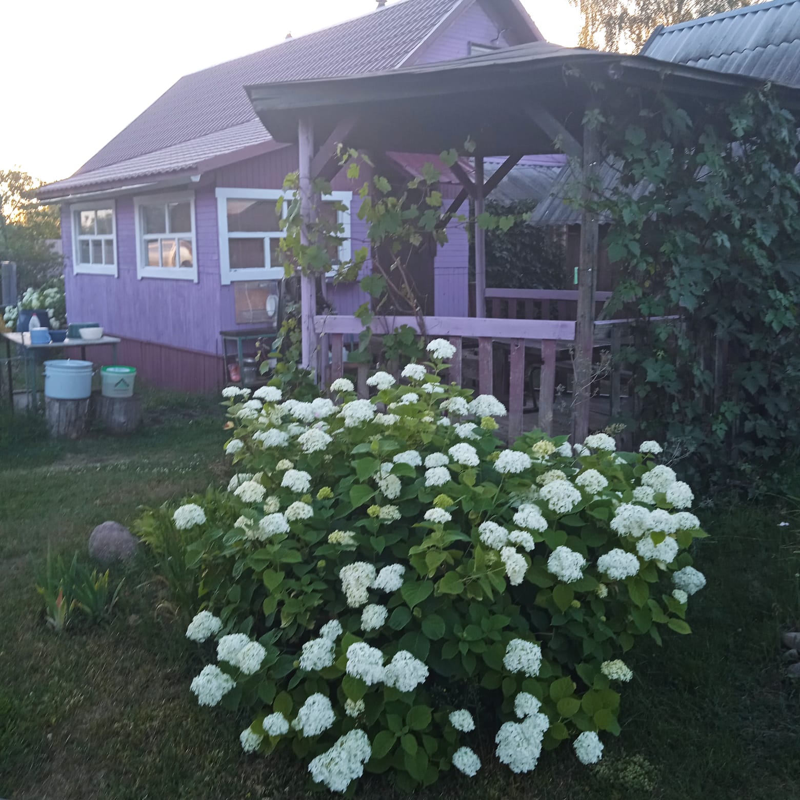 Двухместный номер с 2 отдельными кроватями