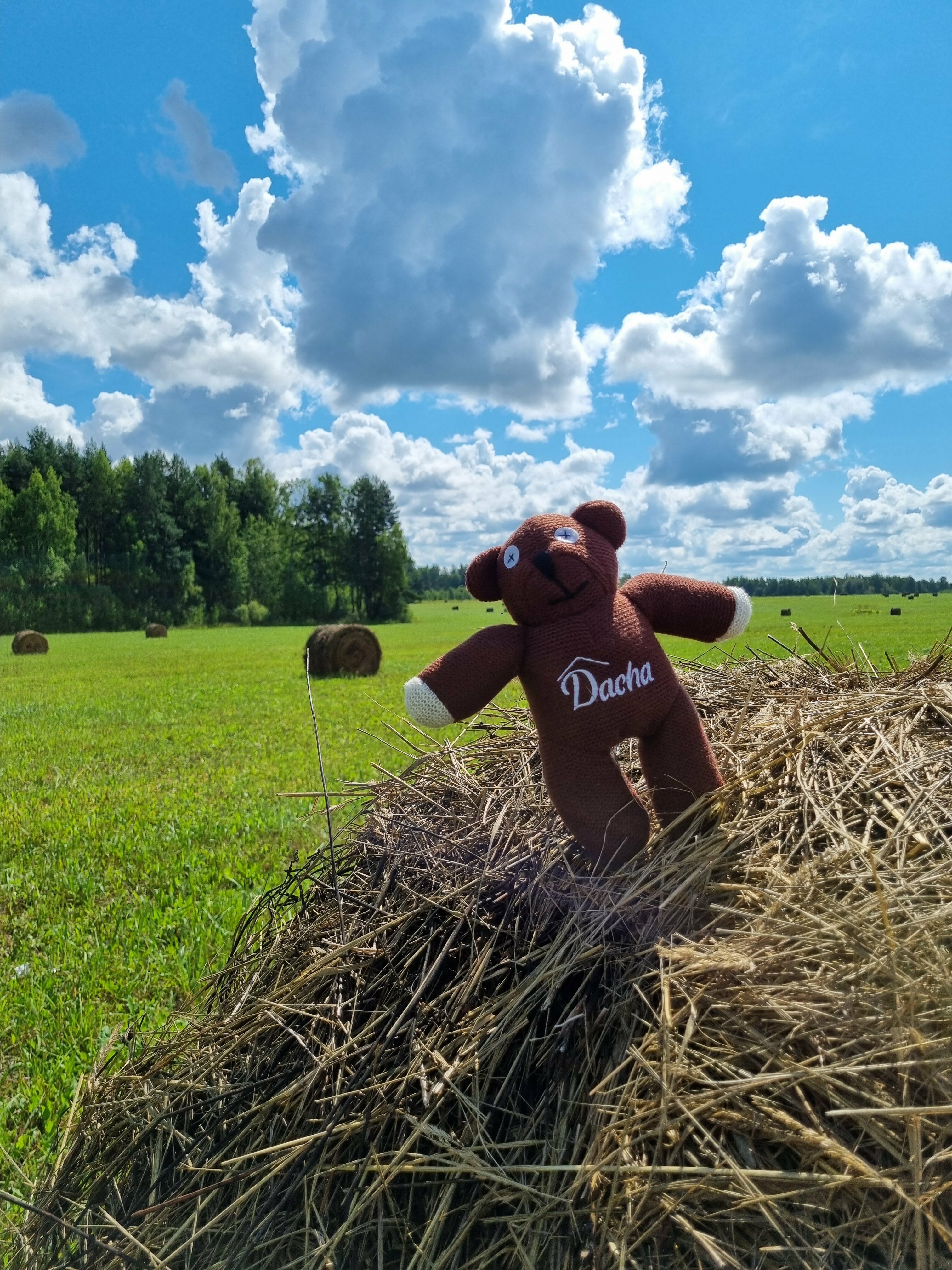 Дом с 2 спальнями