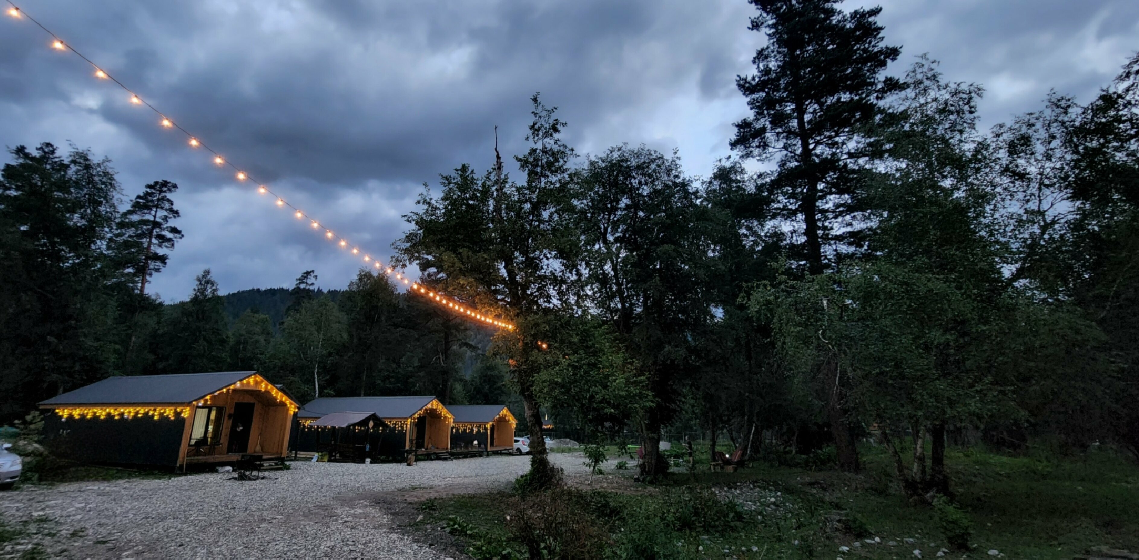 Коттедж с видом на лес