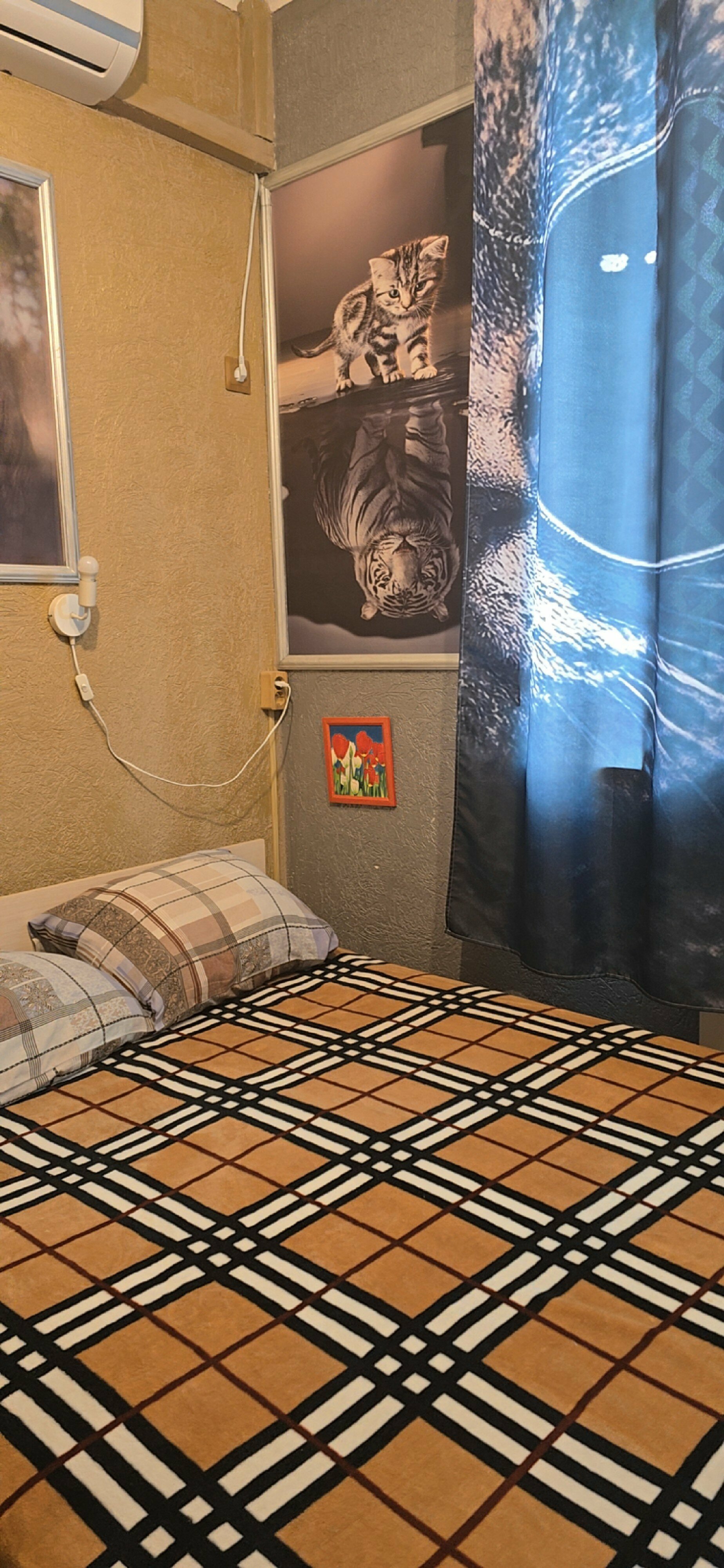 Двухместный номер с 1 кроватью