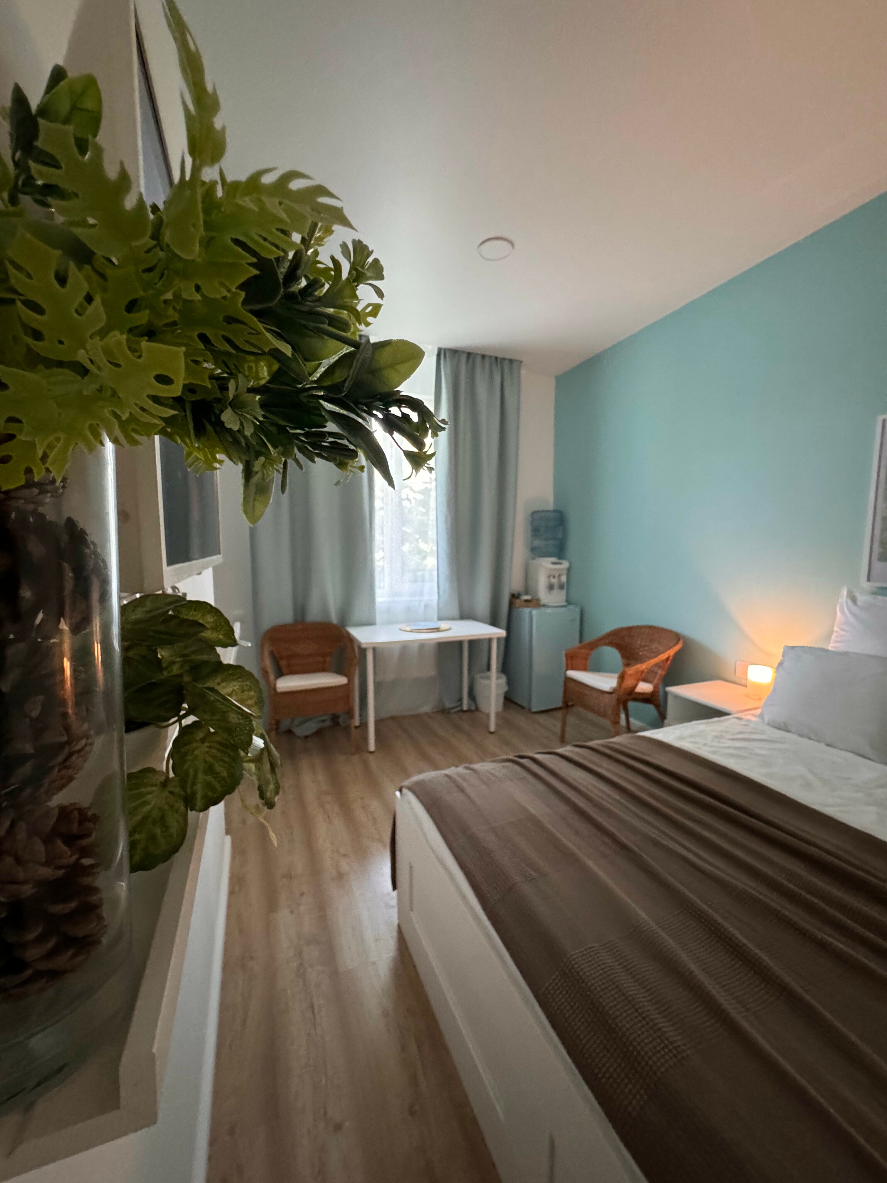 Двухместный номер с 1 кроватью и видом на парк