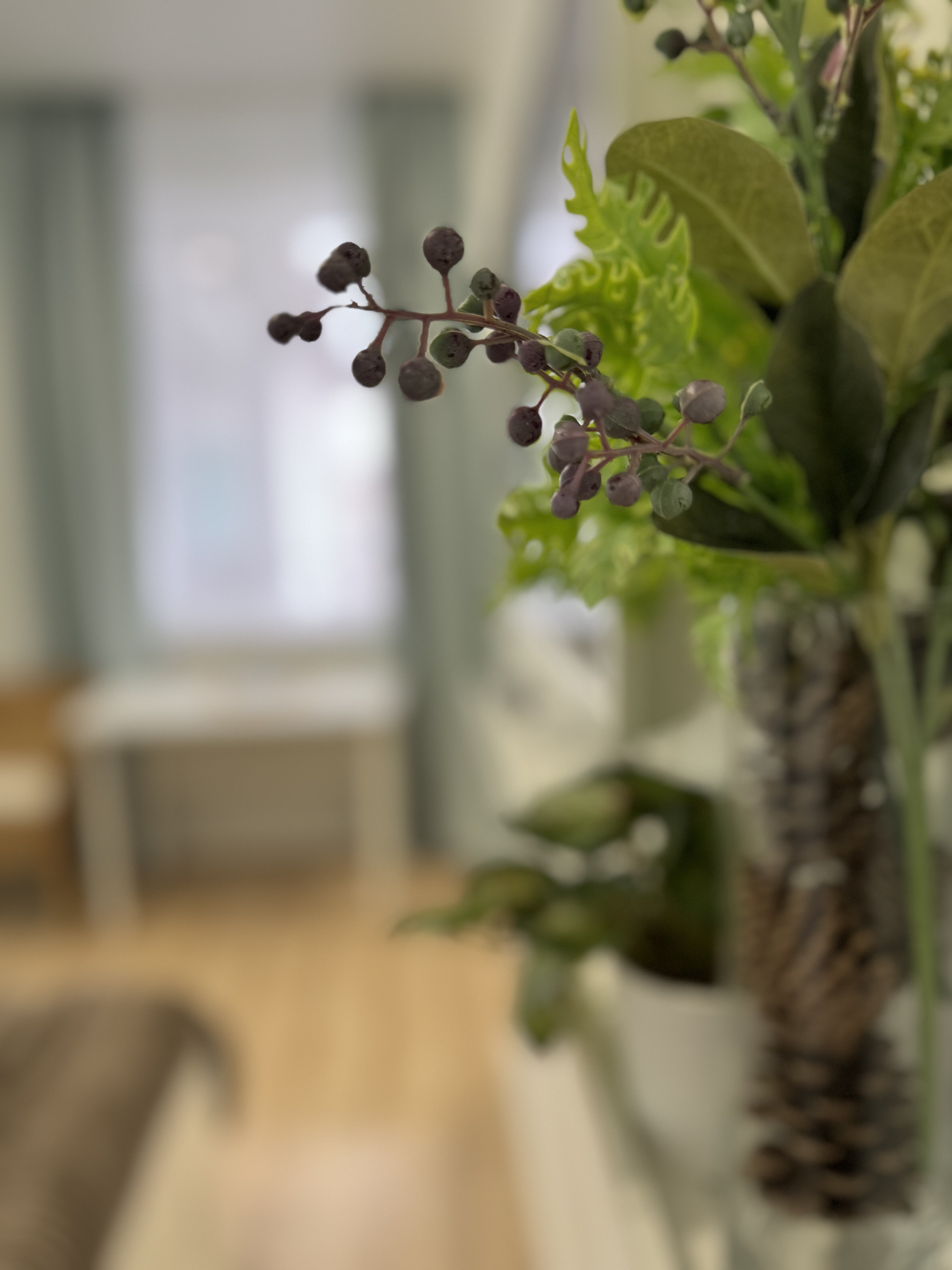 Двухместный номер с 1 кроватью и видом на парк