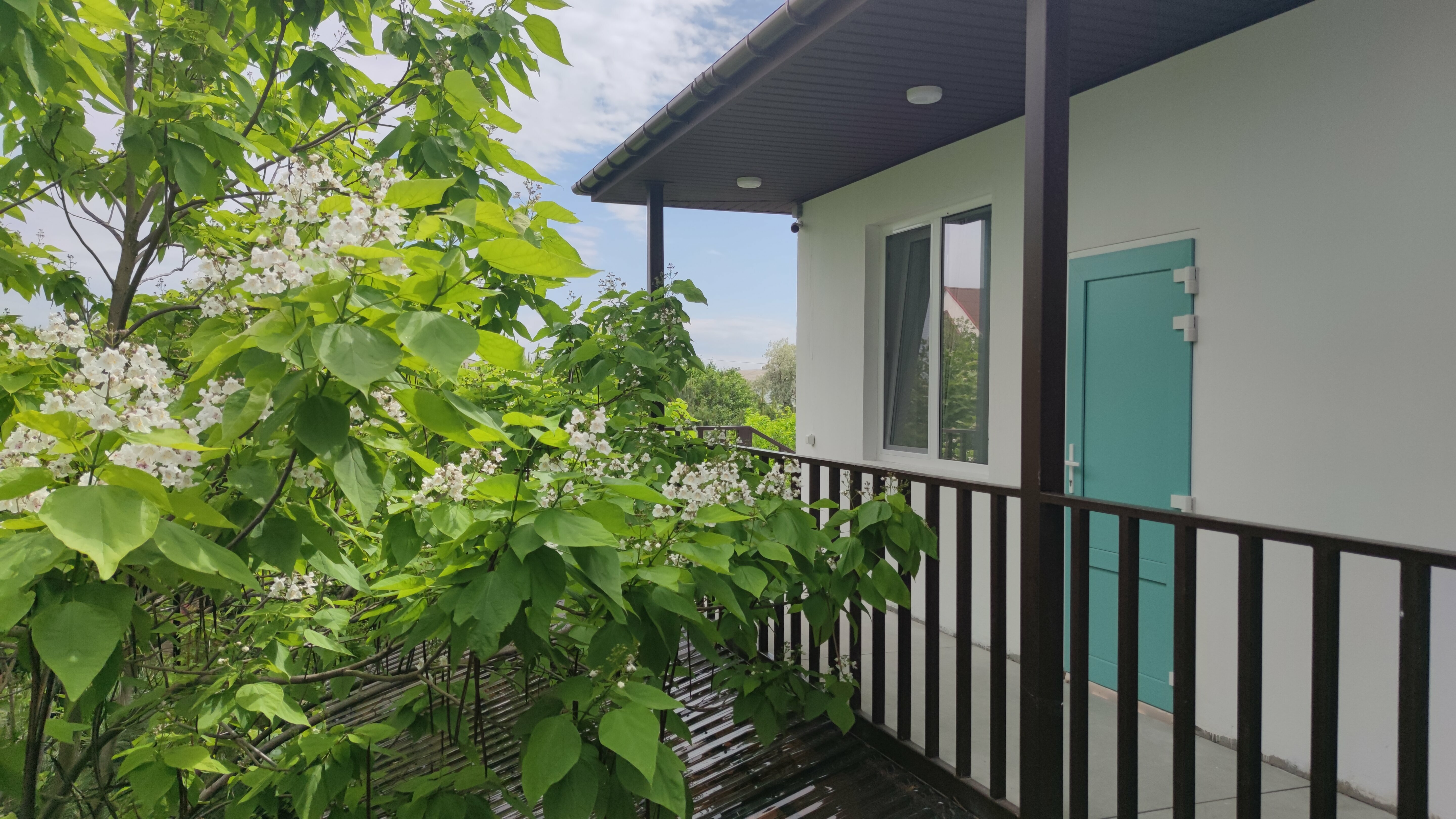 Двухместный номер с 1 кроватью и видом на парк