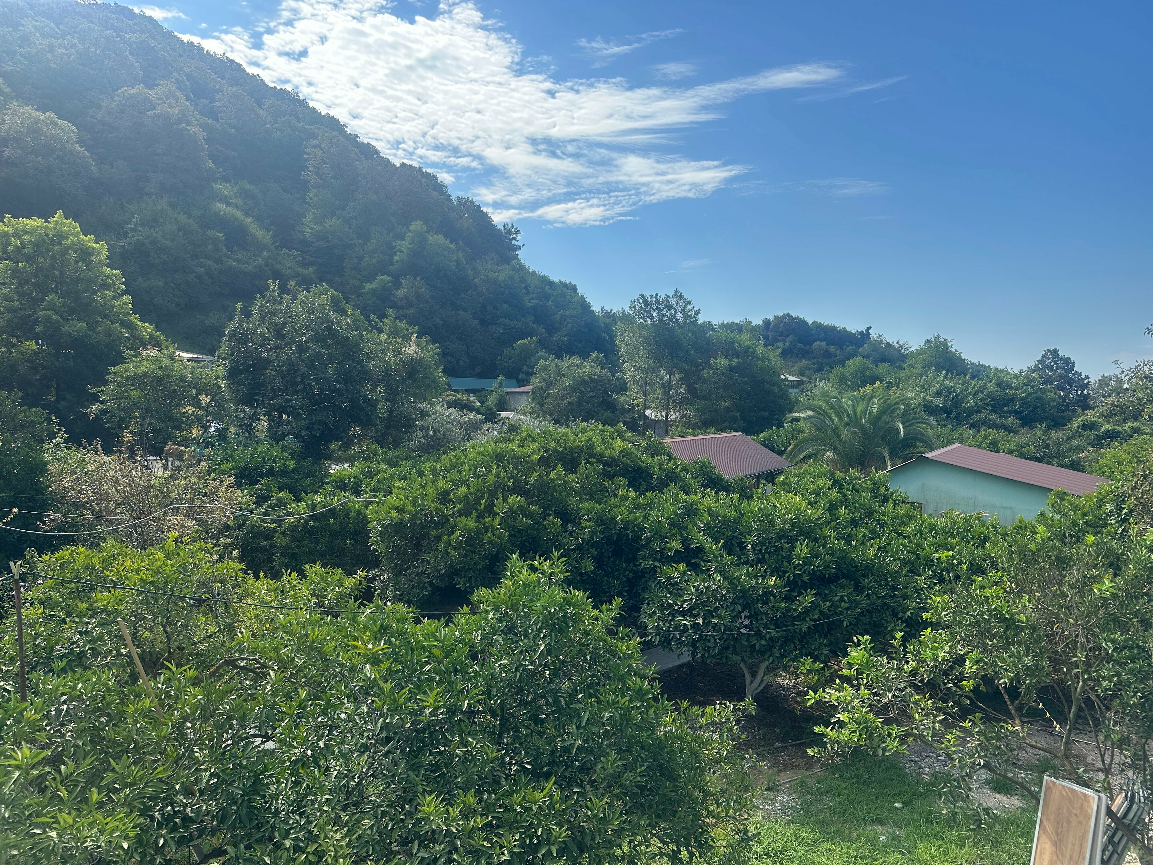 Двухместный номер Делюкс с 1 кроватью или 2 отдельными кроватями и балконом