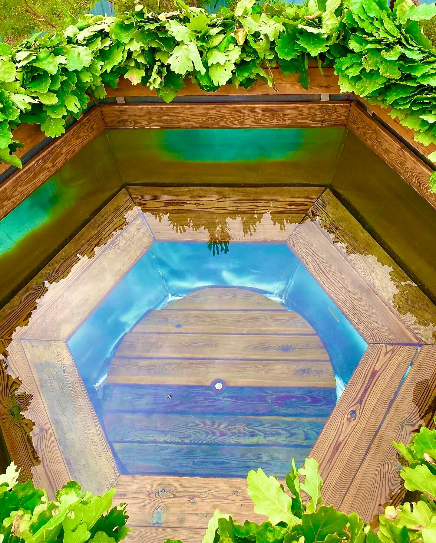 Люкс с 2 спальнями