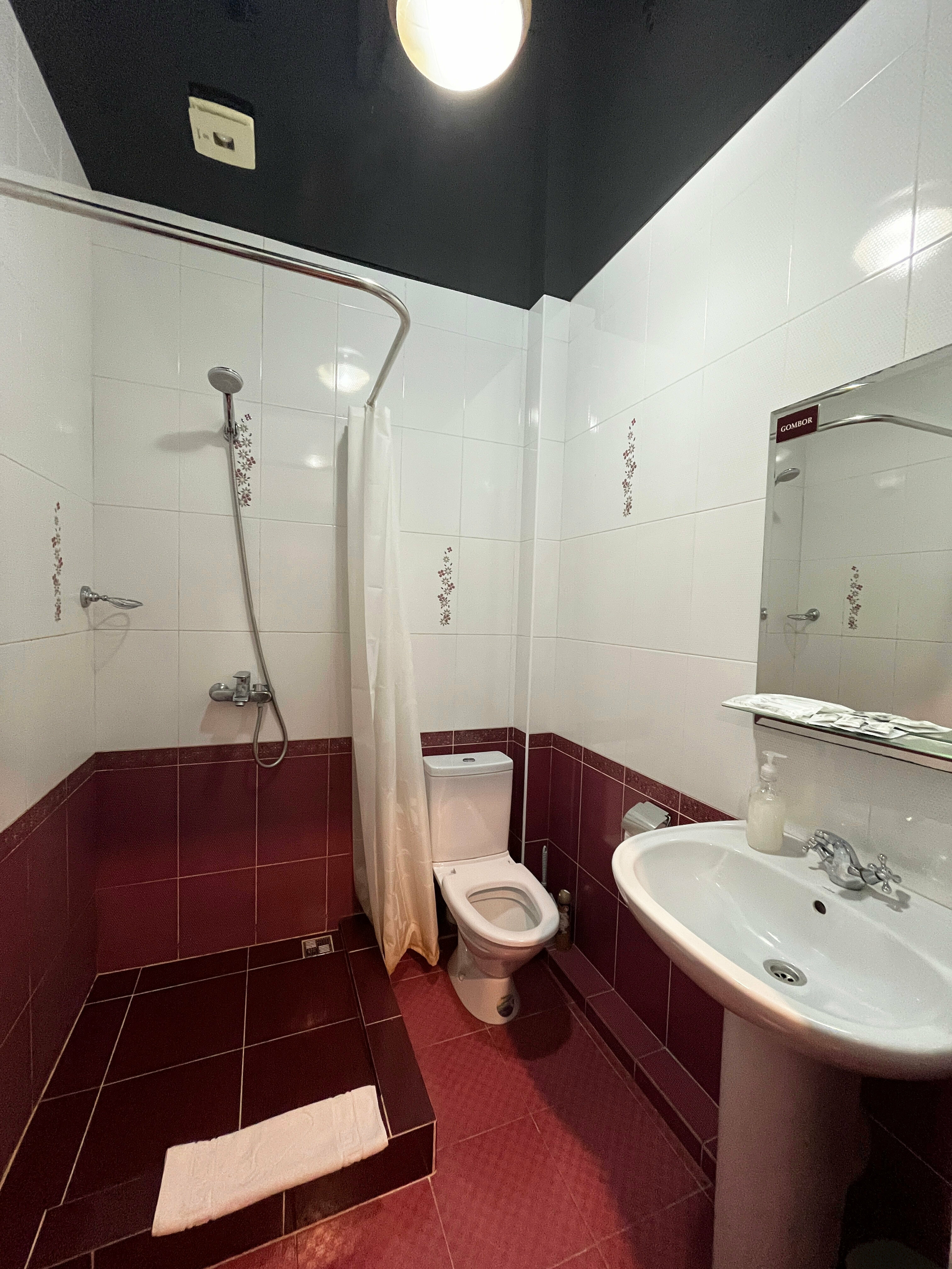 Трехместный номер с душем