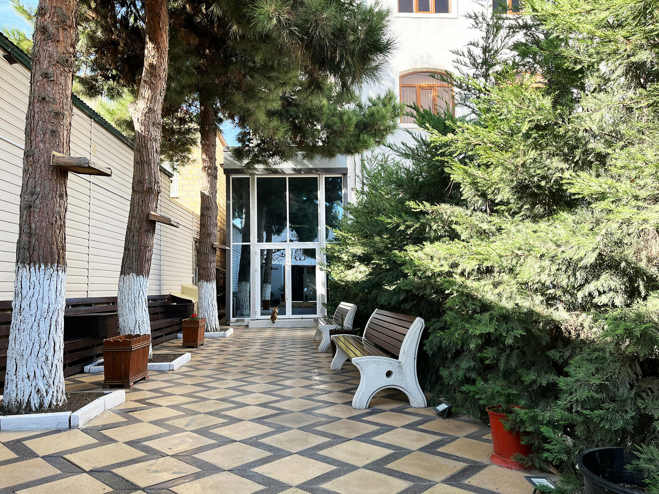 Двухместный номер с 2 отдельными кроватями (без окна)