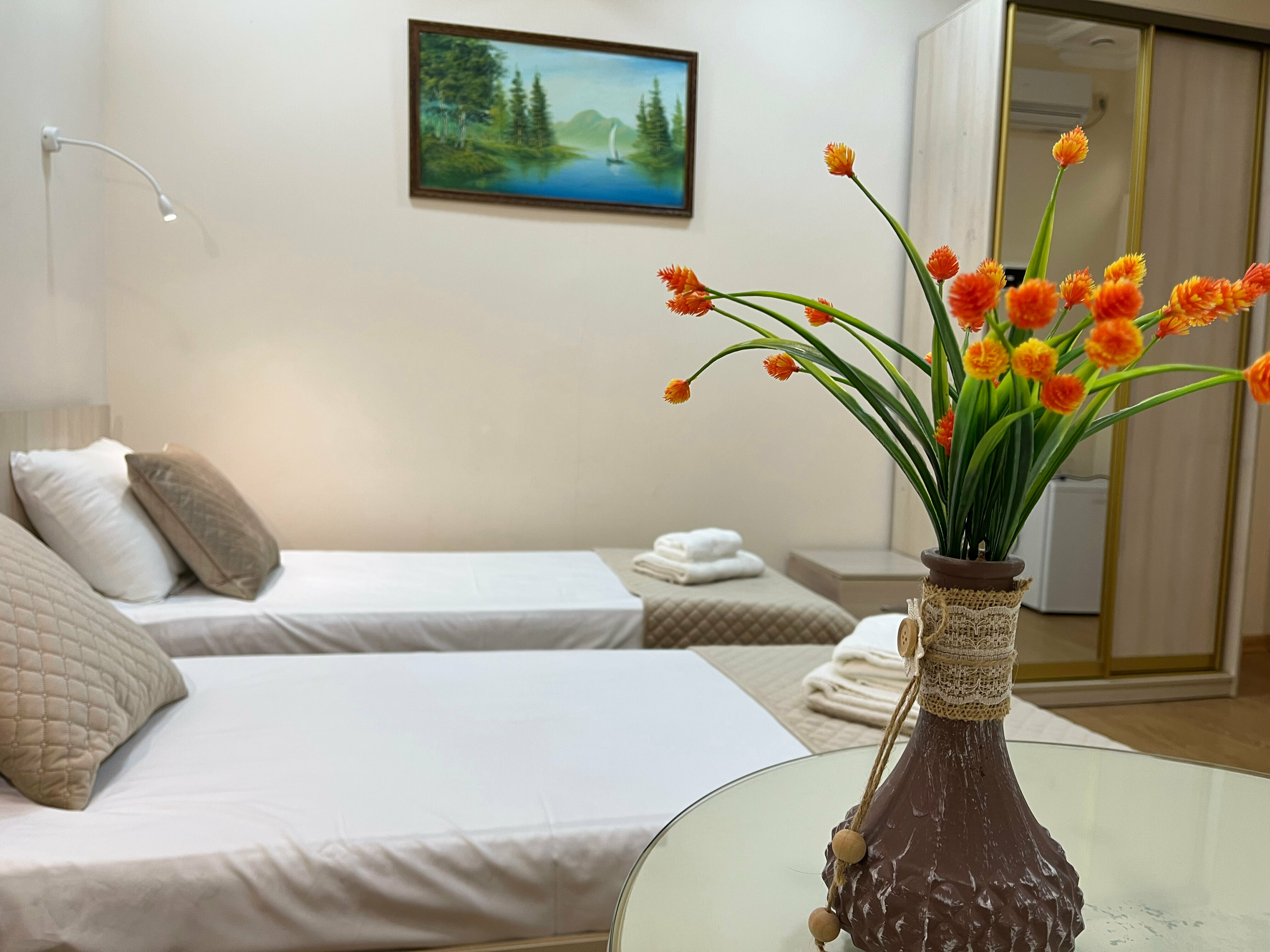 Двухместный номер с 2 отдельными кроватями (без окна)