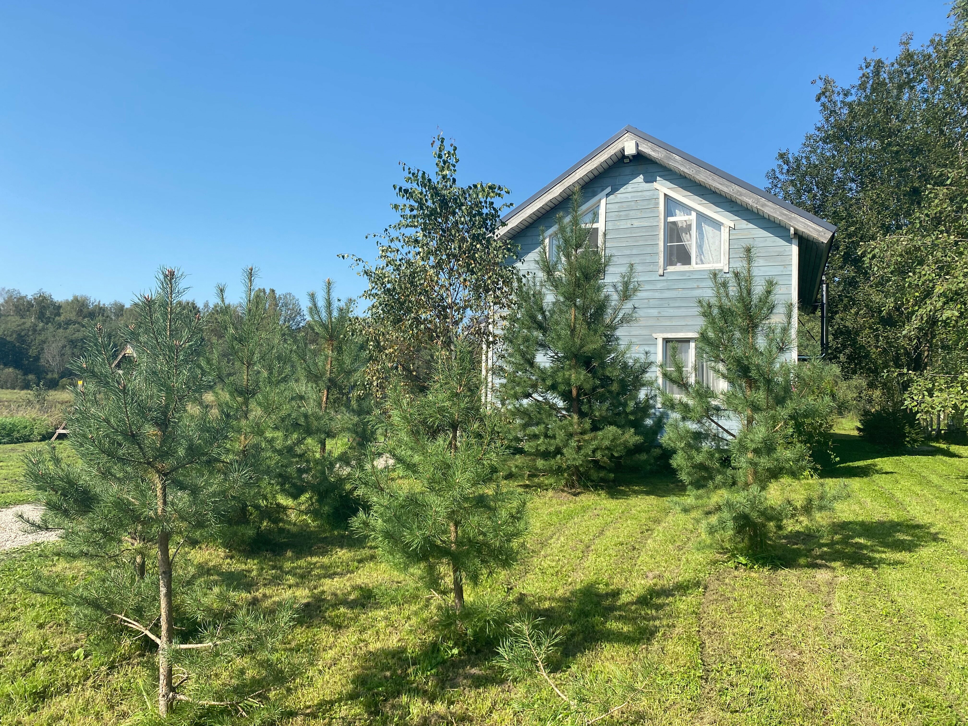 Бюджетный двухместный номер с 1 кроватью