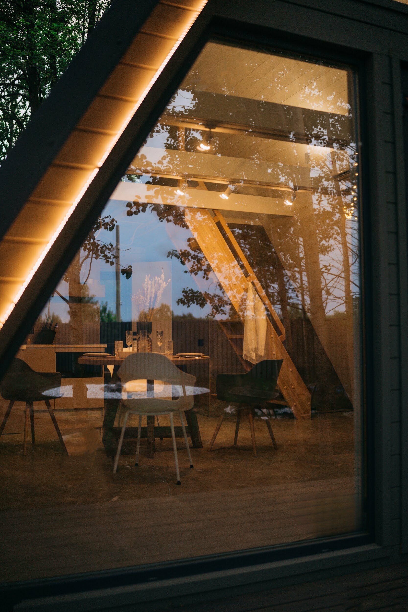 Дом с видом на лес