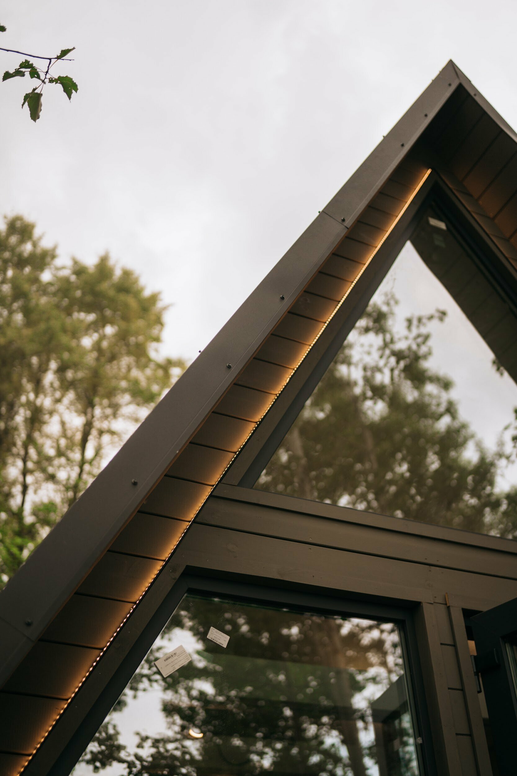 Дом с видом на лес