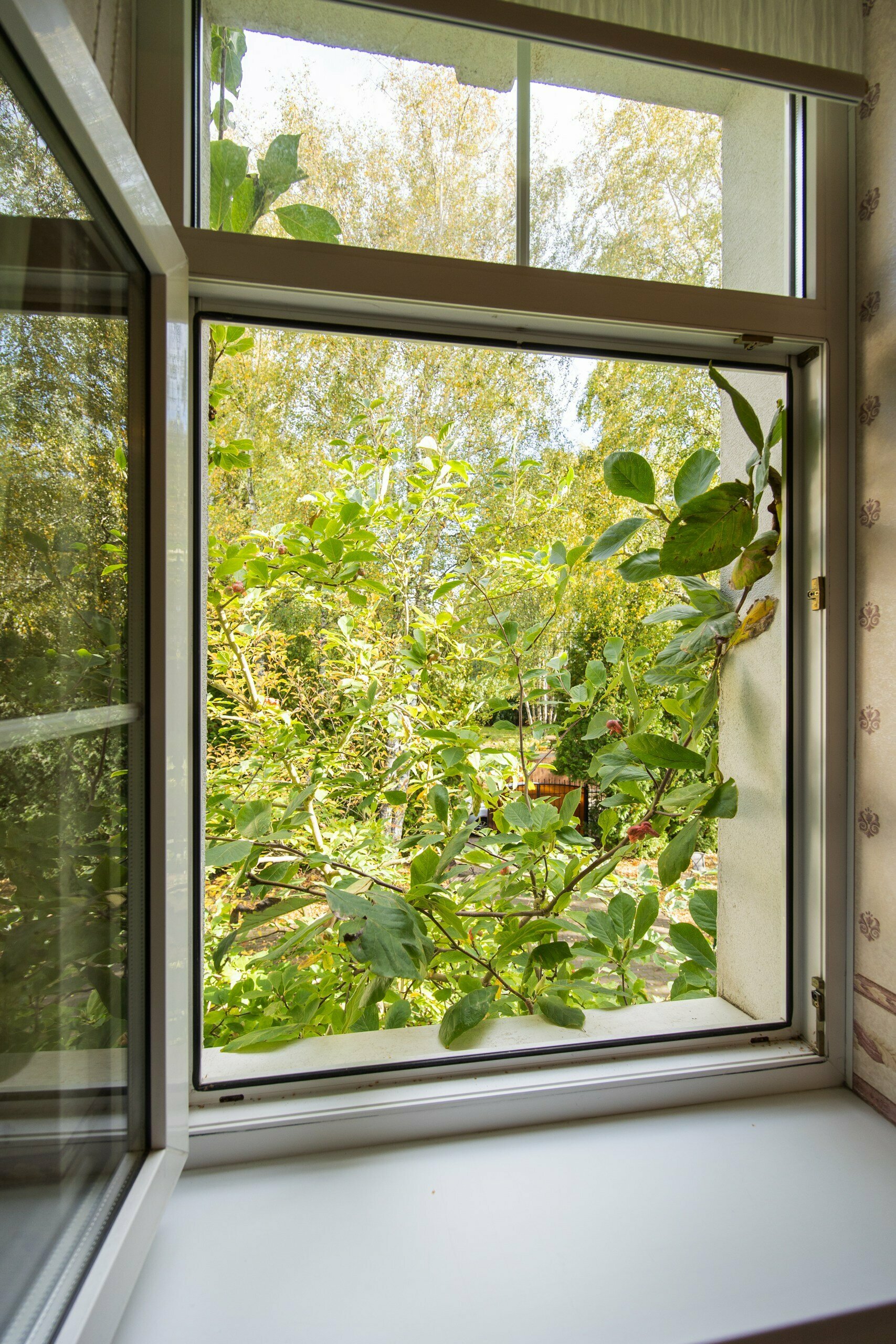 Двухместное размещение ( большая кровать)