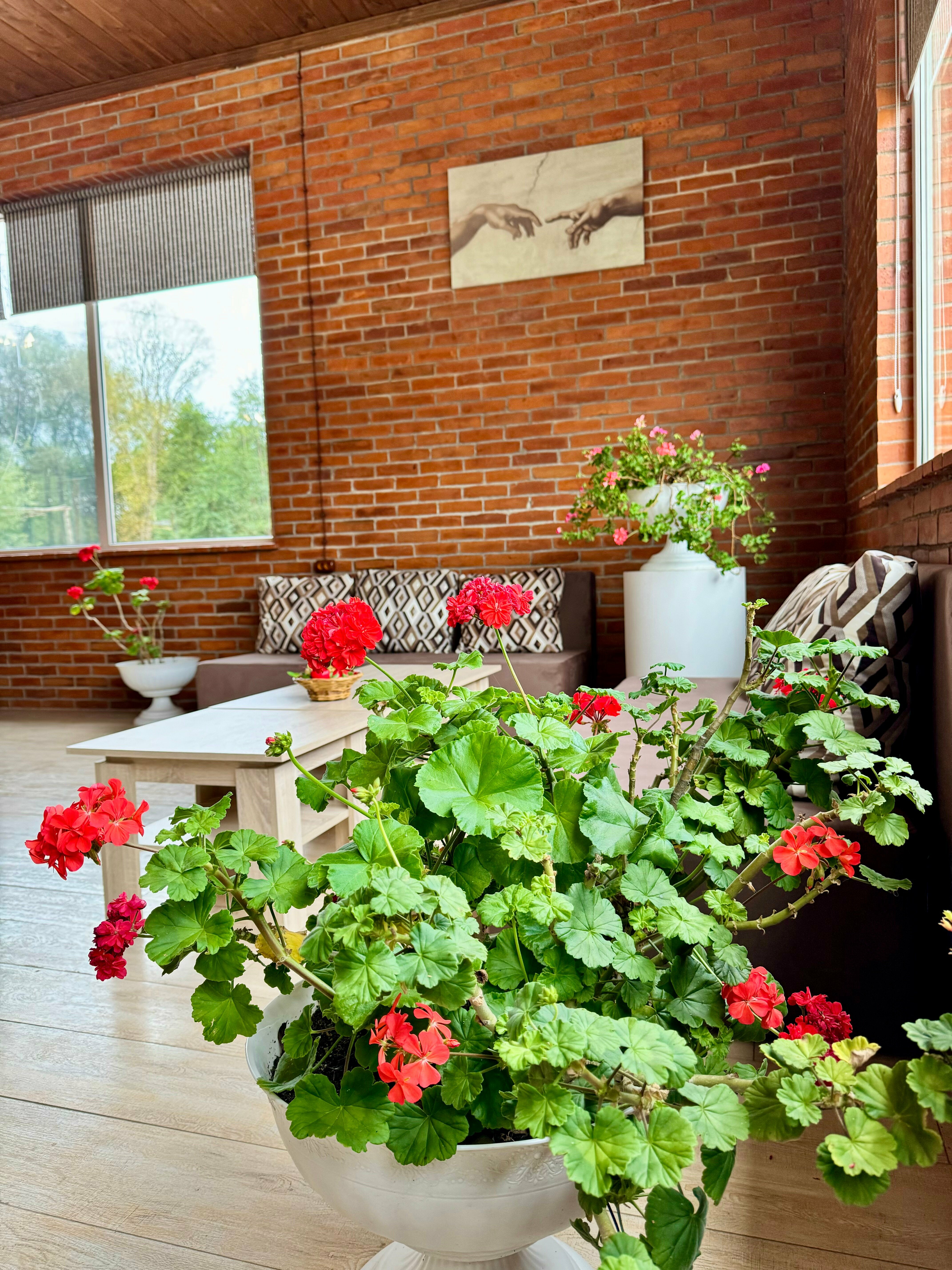 Улучшенный люкс