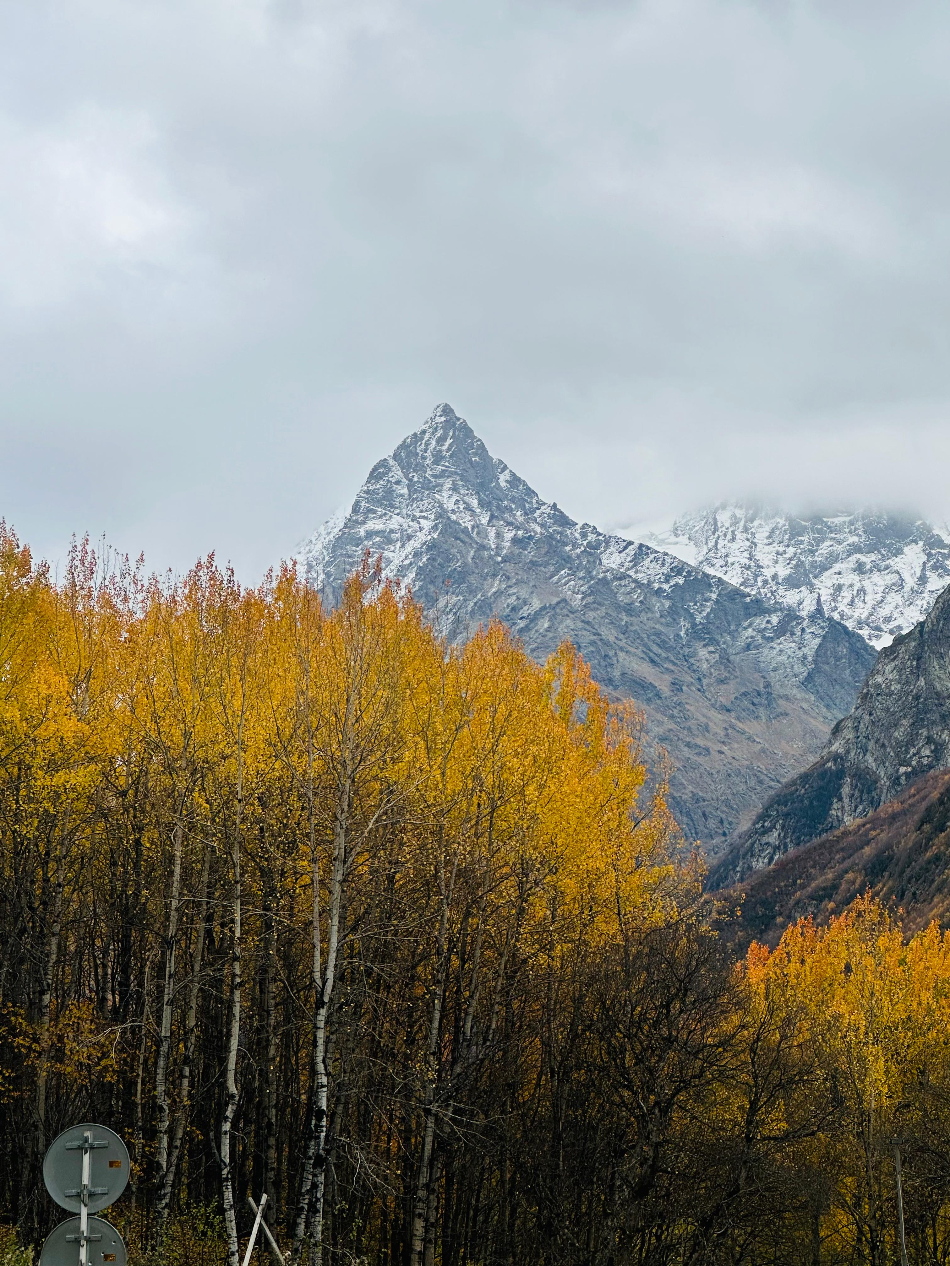 Дом для отпуска