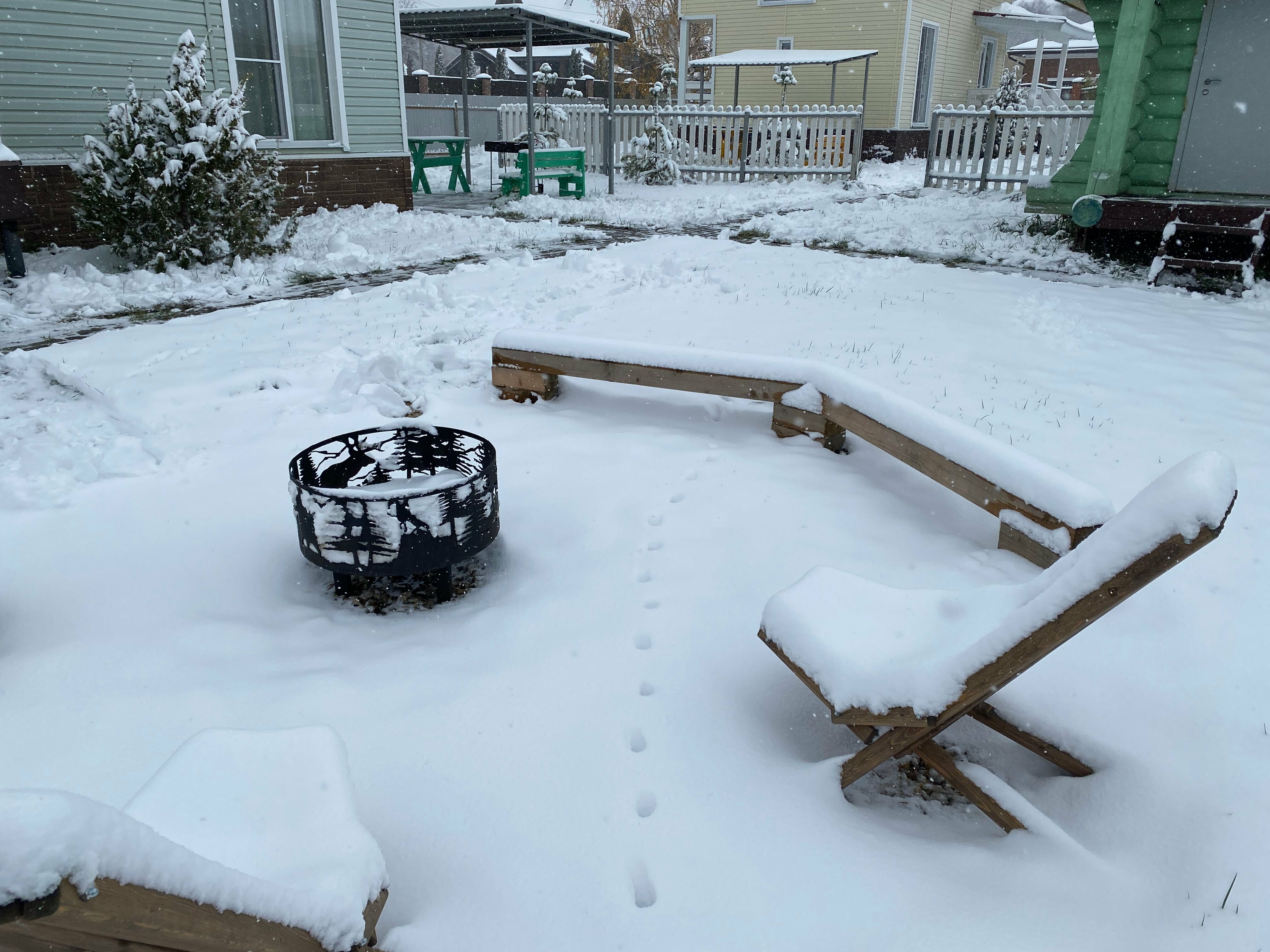 Дом с видом на лес