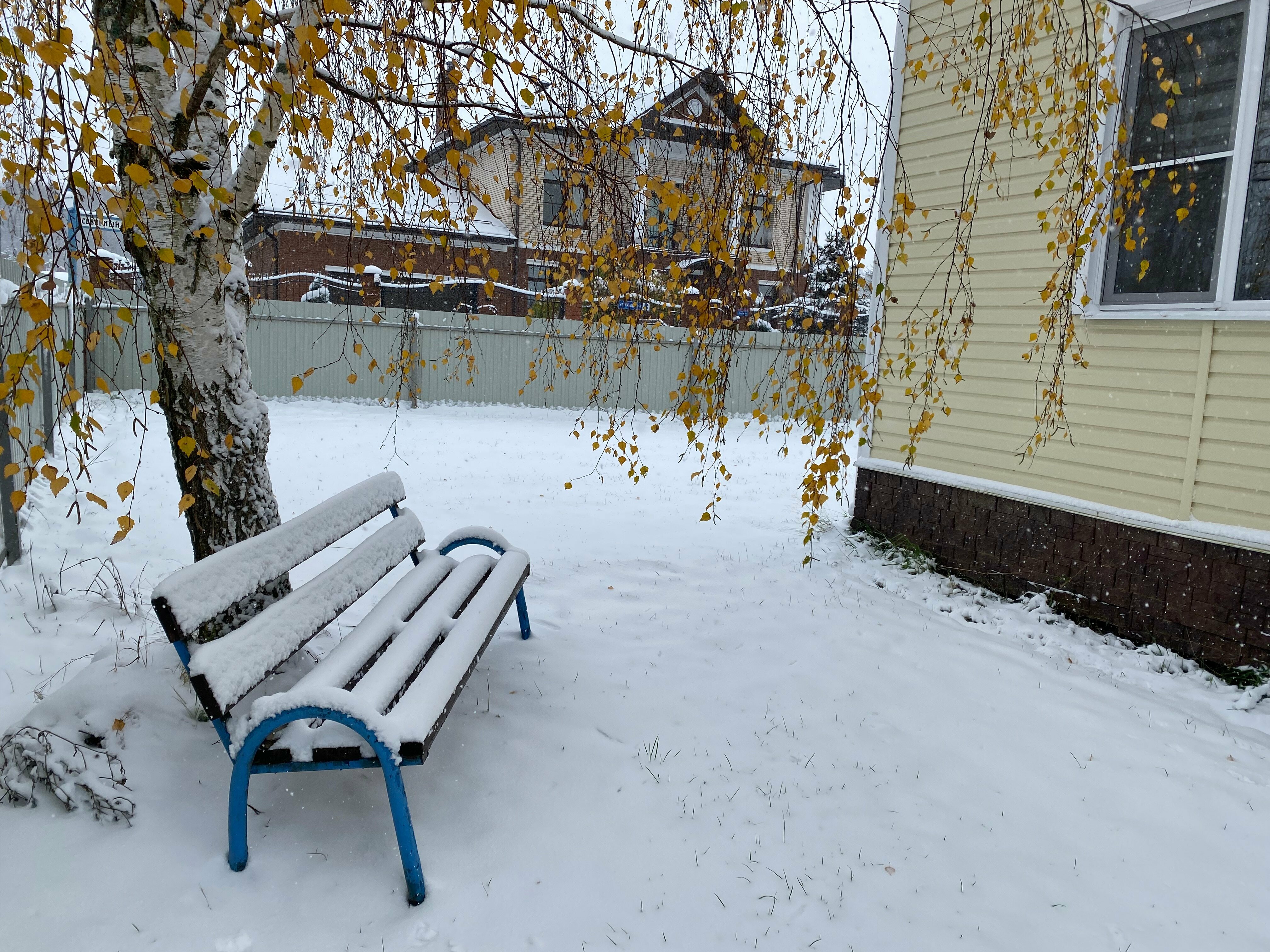 Дом с видом на лес