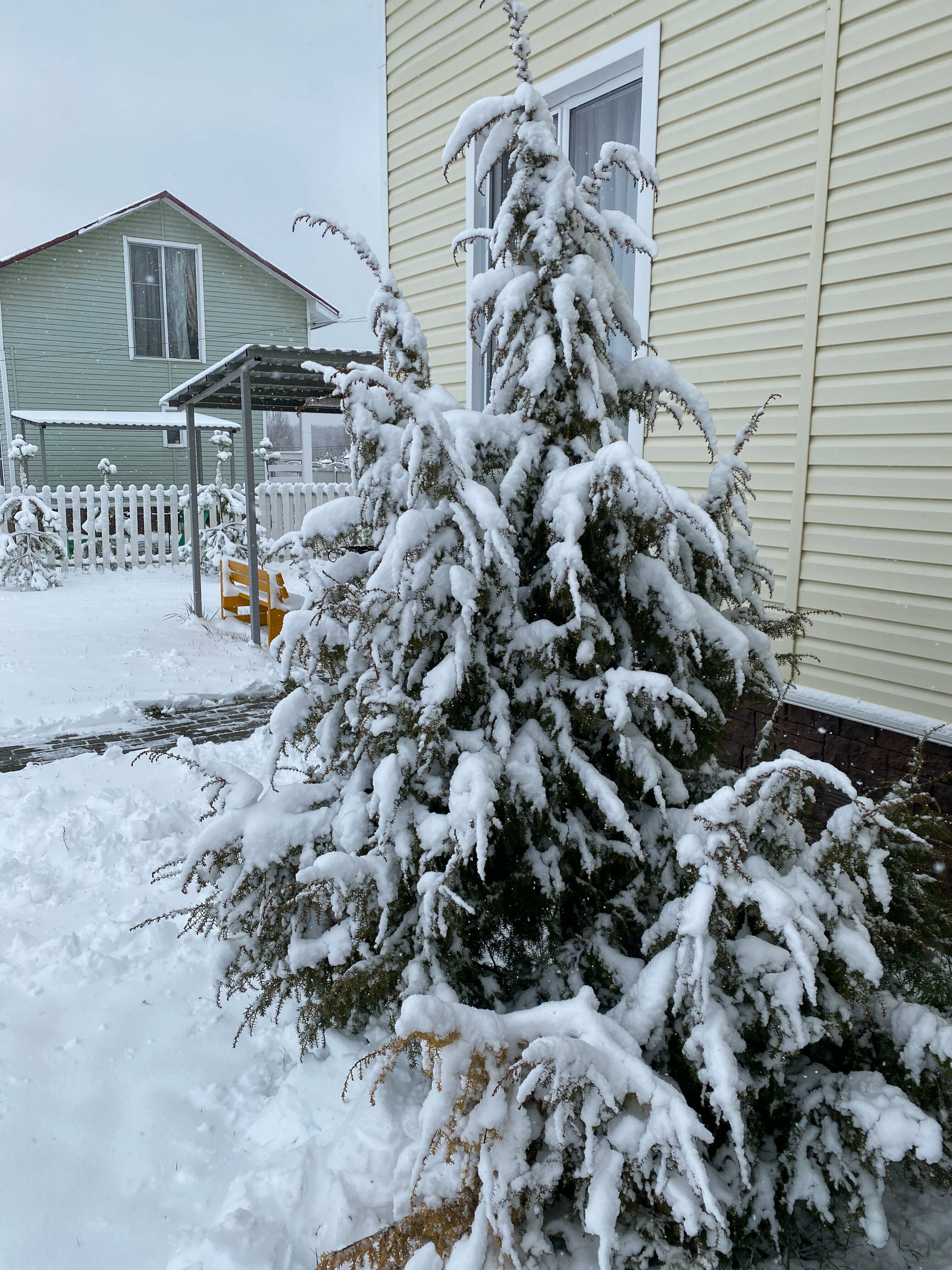 Дом с видом на лес