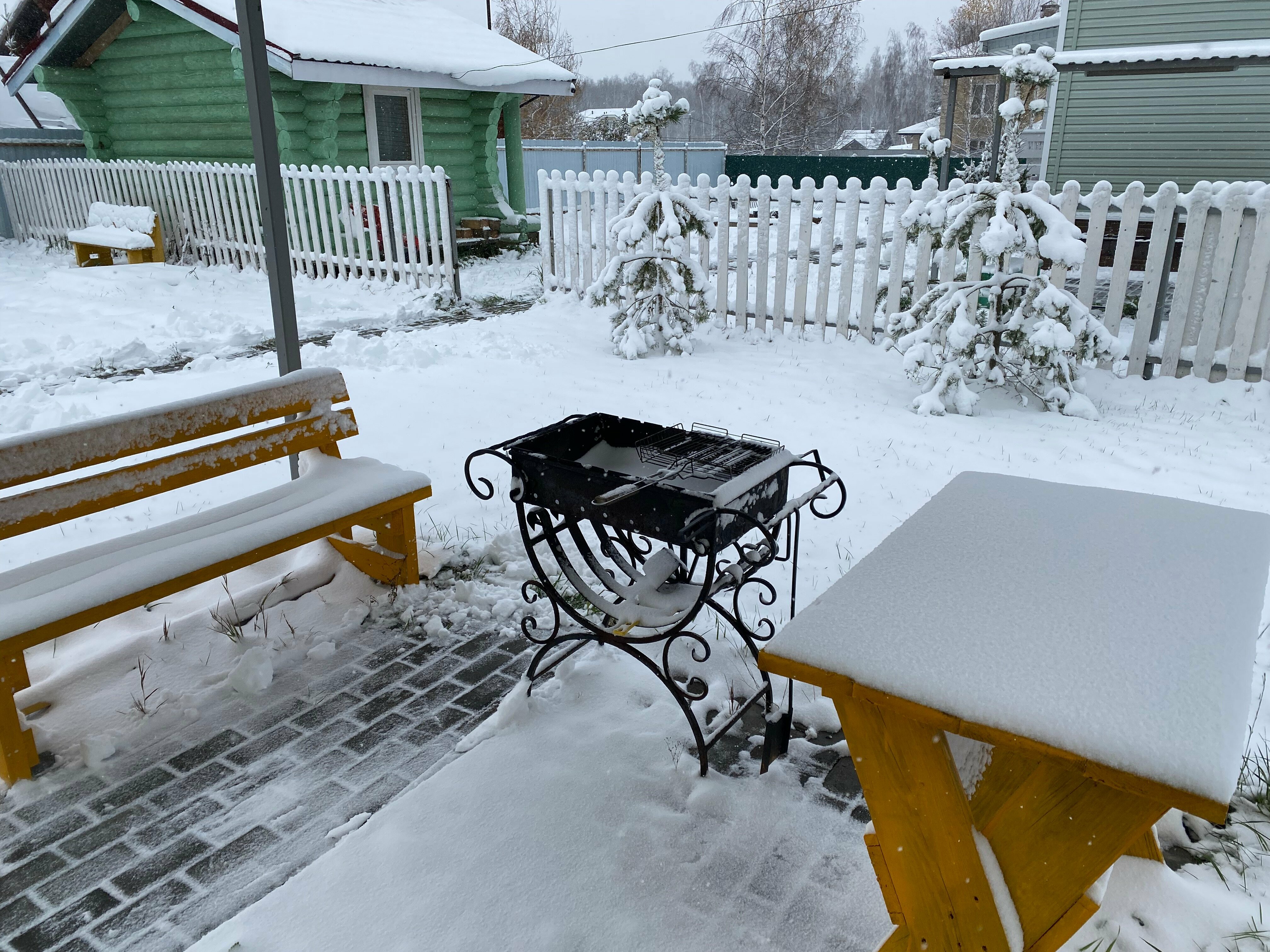 Дом с видом на лес
