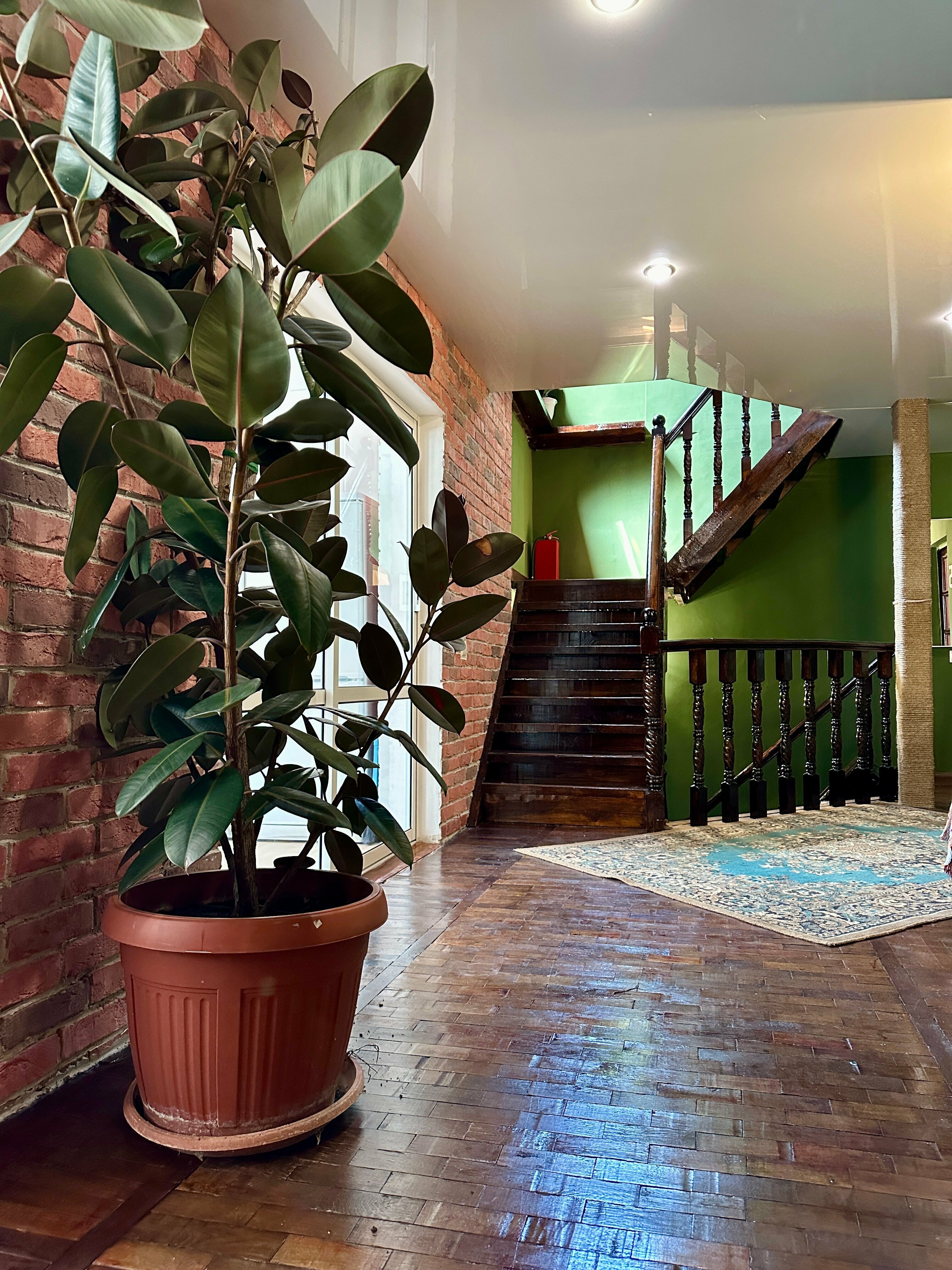 Кровать в общем номере для мужчин с 4 кроватями