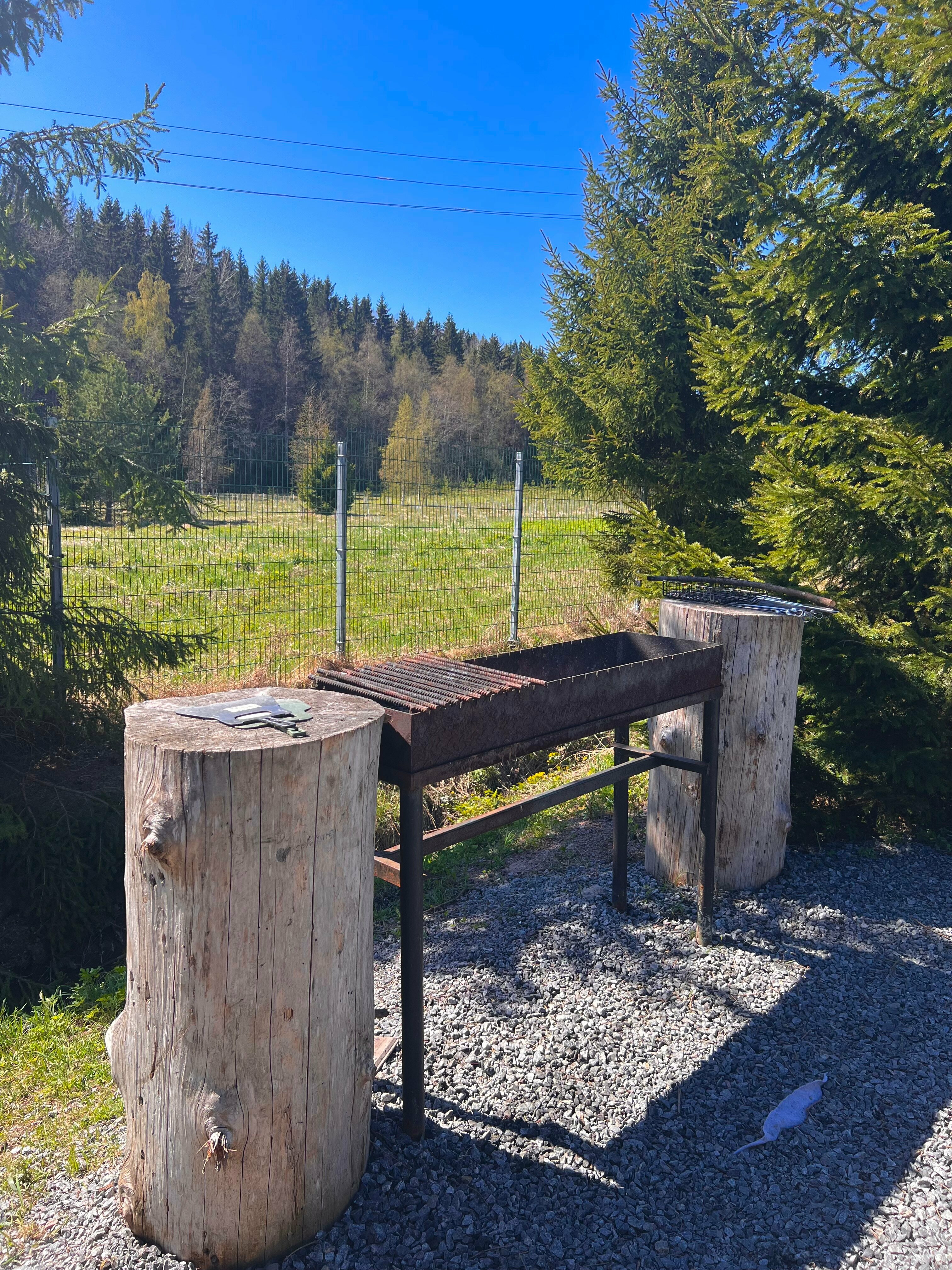 Дом с видом на лес