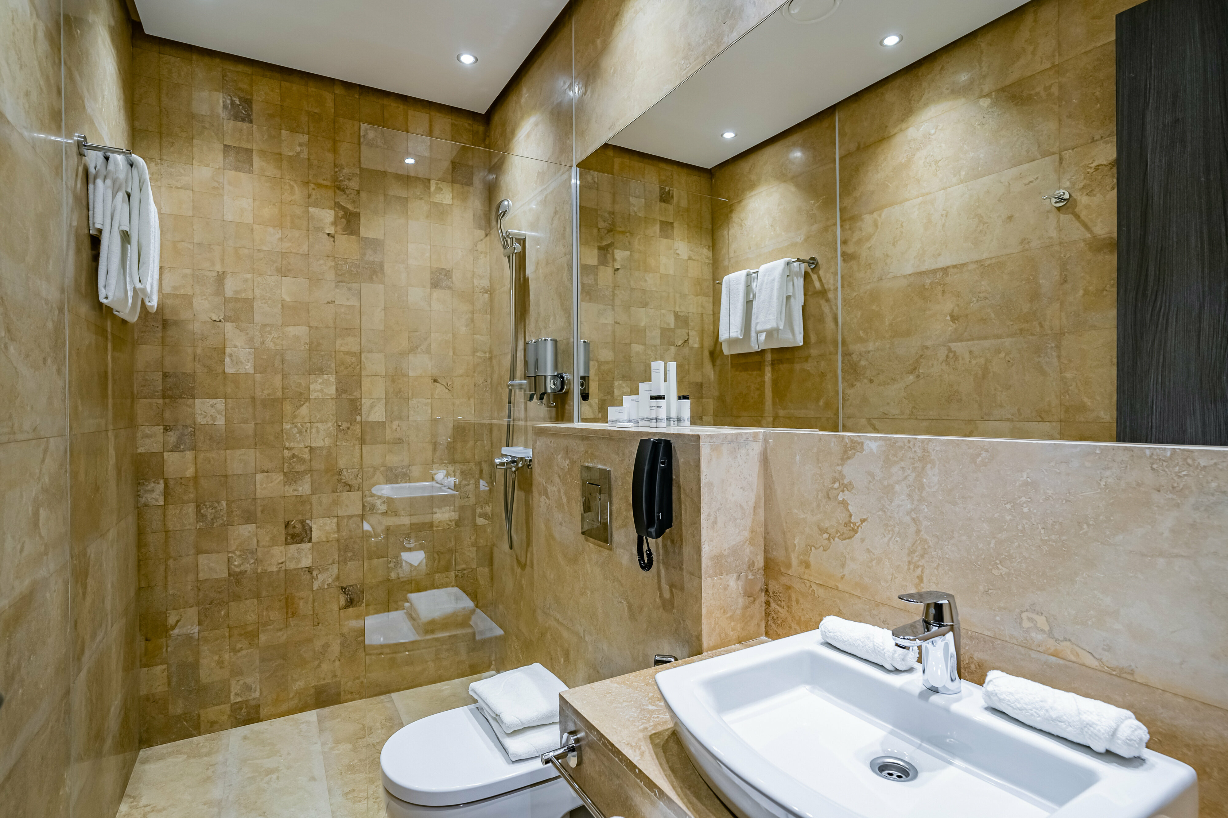 Двухместный номер Делюкс с 1 кроватью или 2 отдельными кроватями