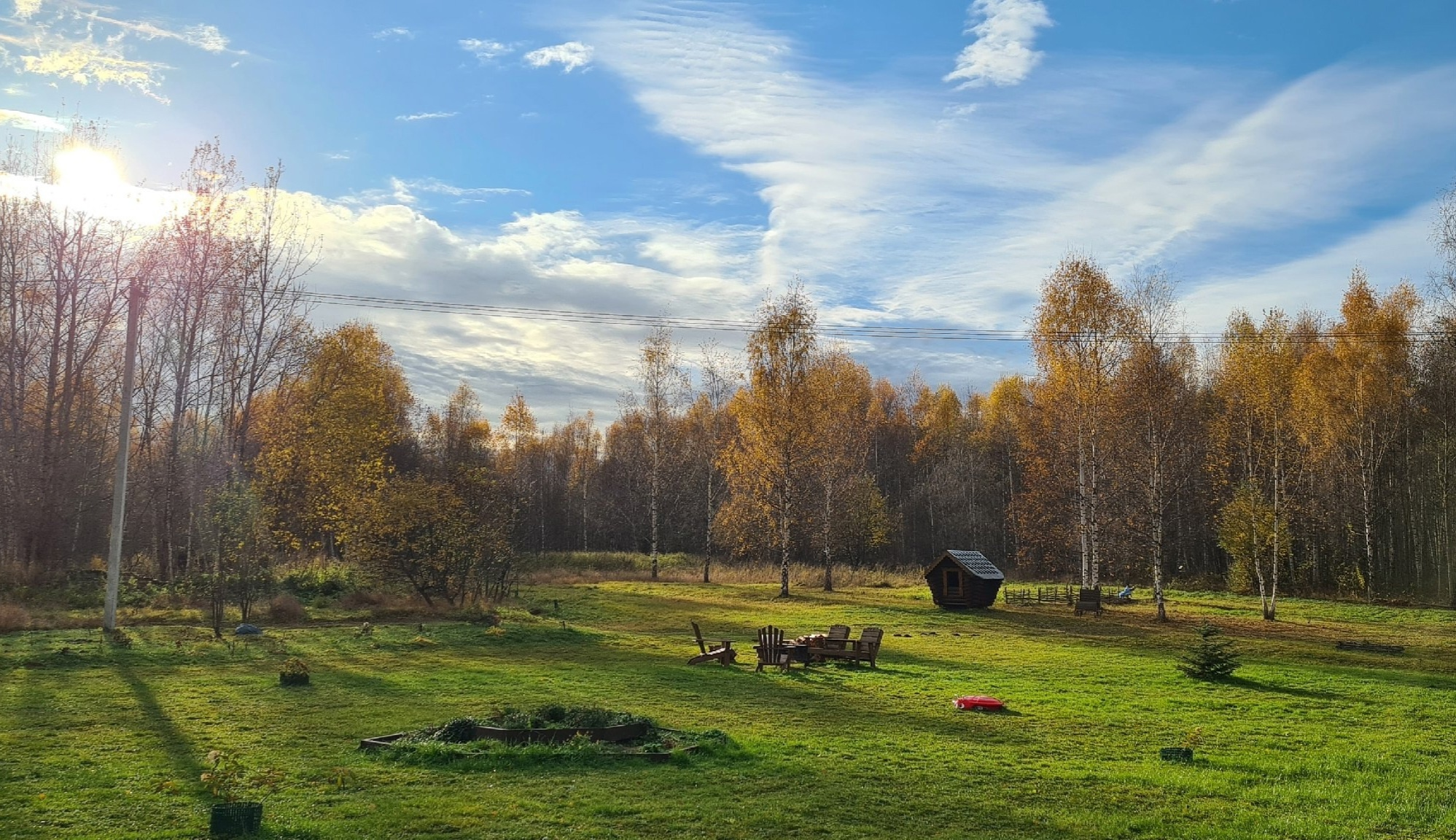 Дом с видом на лес